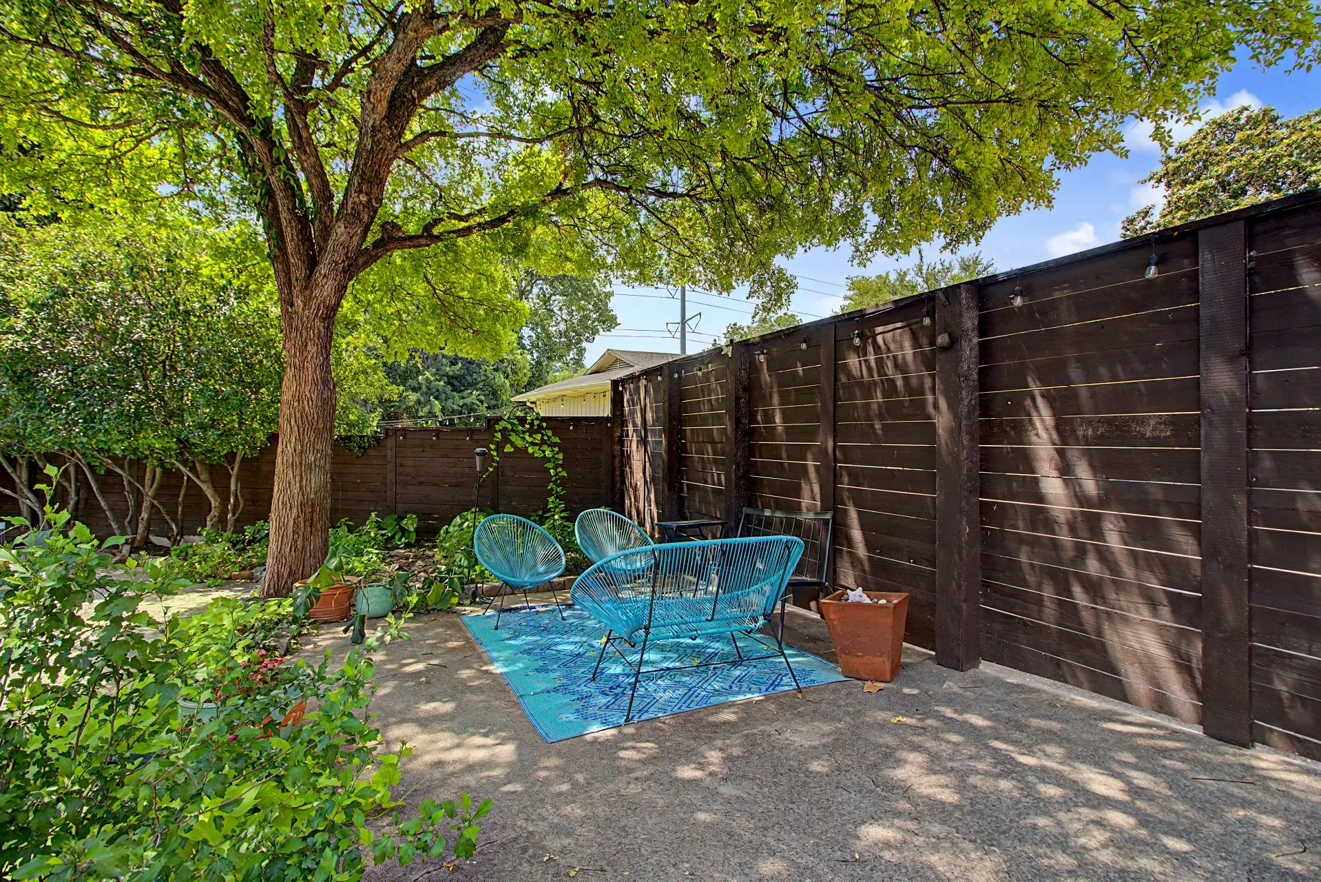 Mature tree providing natural shade over a concrete patio