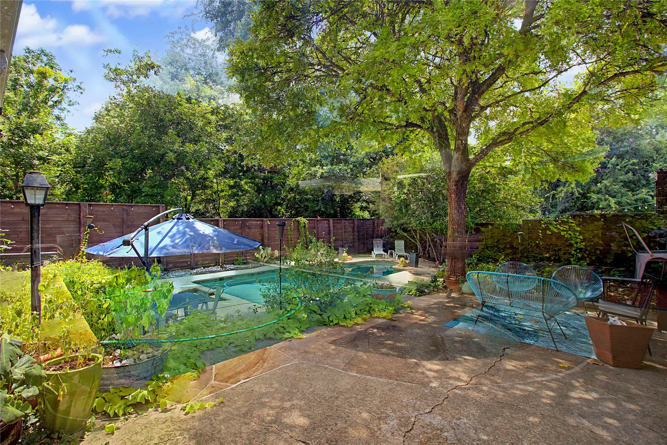 Private backyard oasis featuring a swimming pool, mature tree, concrete patio, and perimeter fencing