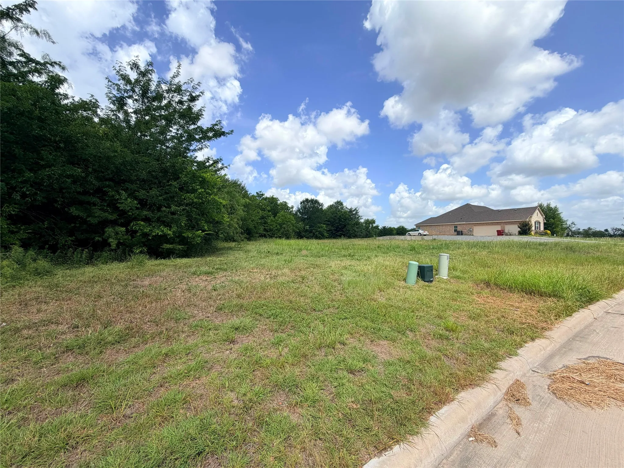 Expansive undeveloped land featuring mature trees bordering one side, a clear grassy area, and a paved curb along the frontage