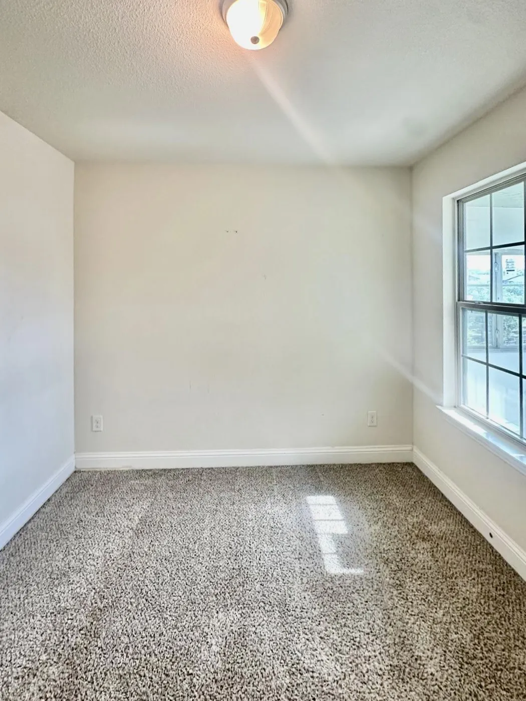 Secondary bedroom Neutral-toned carpeted room featuring a double-paned window, white baseboards, and a flush-mount ceiling light fixture