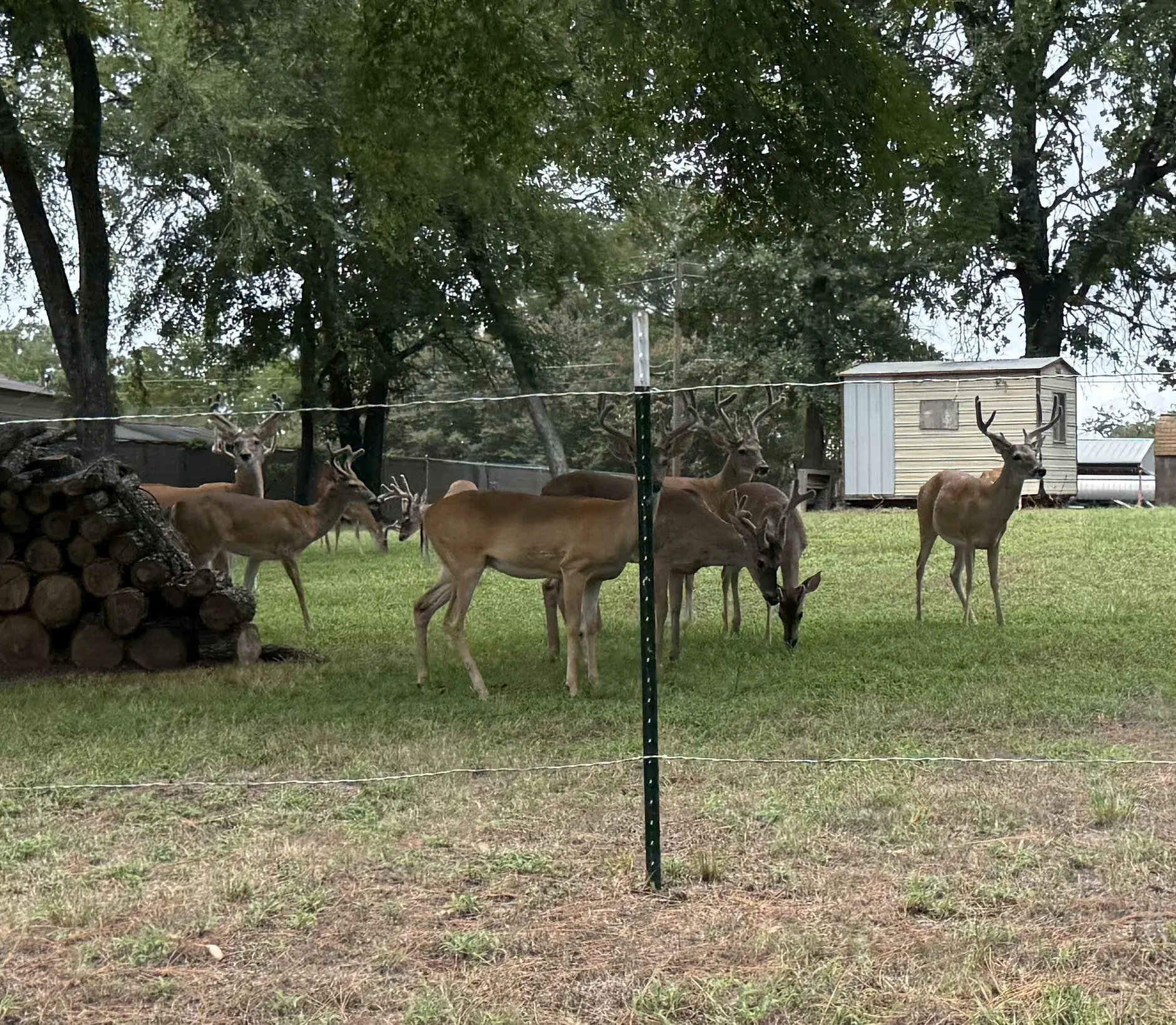 Single Family Residence For Sale in Henderson County , 18251 Rocky Point Run, Mabank, Texas 75156, 4 Bedroom, 4 Bathroom, Garage spaces, 2,768 Sqft, built in 1965, mls#21332400, Real Estate Agent in Mabank, Homes For Sale in Henderson county, Homes For Sale in Mabank, Realtor in Mabank Texas, Real Estate Brokerage Independent Realty Texas, Luminita Cordes Realtor