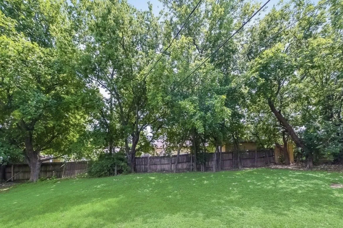 Beautiful versized backyard
