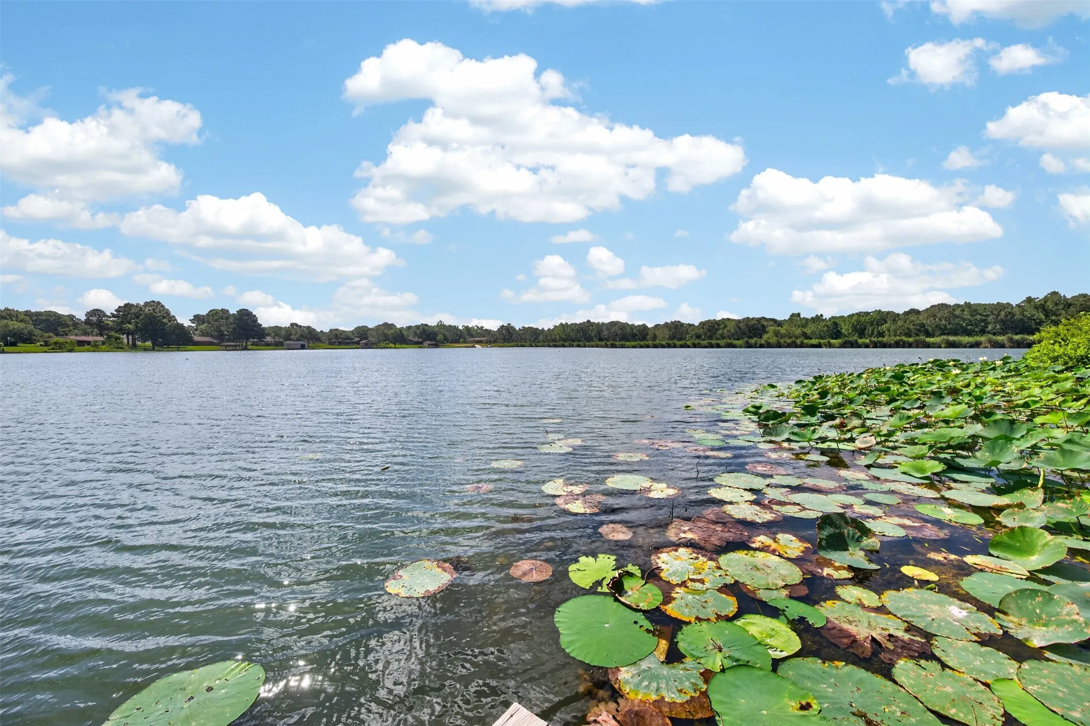 Single Family Residence For Sale in Henderson County , 12075 W Lake Drive, Murchison, Texas 75778, 3 Bedroom, 2 Bathroom, 2 Garage spaces, 2,694 Sqft, built in 1986, mls#21332730, Real Estate Agent in Murchison, Homes For Sale in Henderson county, Homes For Sale in Murchison, Realtor in Murchison Texas, Real Estate Brokerage Independent Realty Texas, Luminita Cordes Realtor