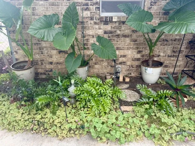 Lovely landscaping