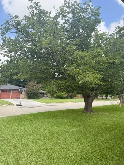 Single Family Residence For Sale in Brown County , 4504 Delwood Drive, Brownwood, Texas 76801, 3 Bedroom, 2 Bathroom, 2 Garage spaces, 1,830 Sqft, built in 1975, mls#21332766, Real Estate Agent in Brownwood, Homes For Sale in Brown county, Homes For Sale in Brownwood, Realtor in Brownwood Texas, Real Estate Brokerage Independent Realty Texas, Luminita Cordes Realtor