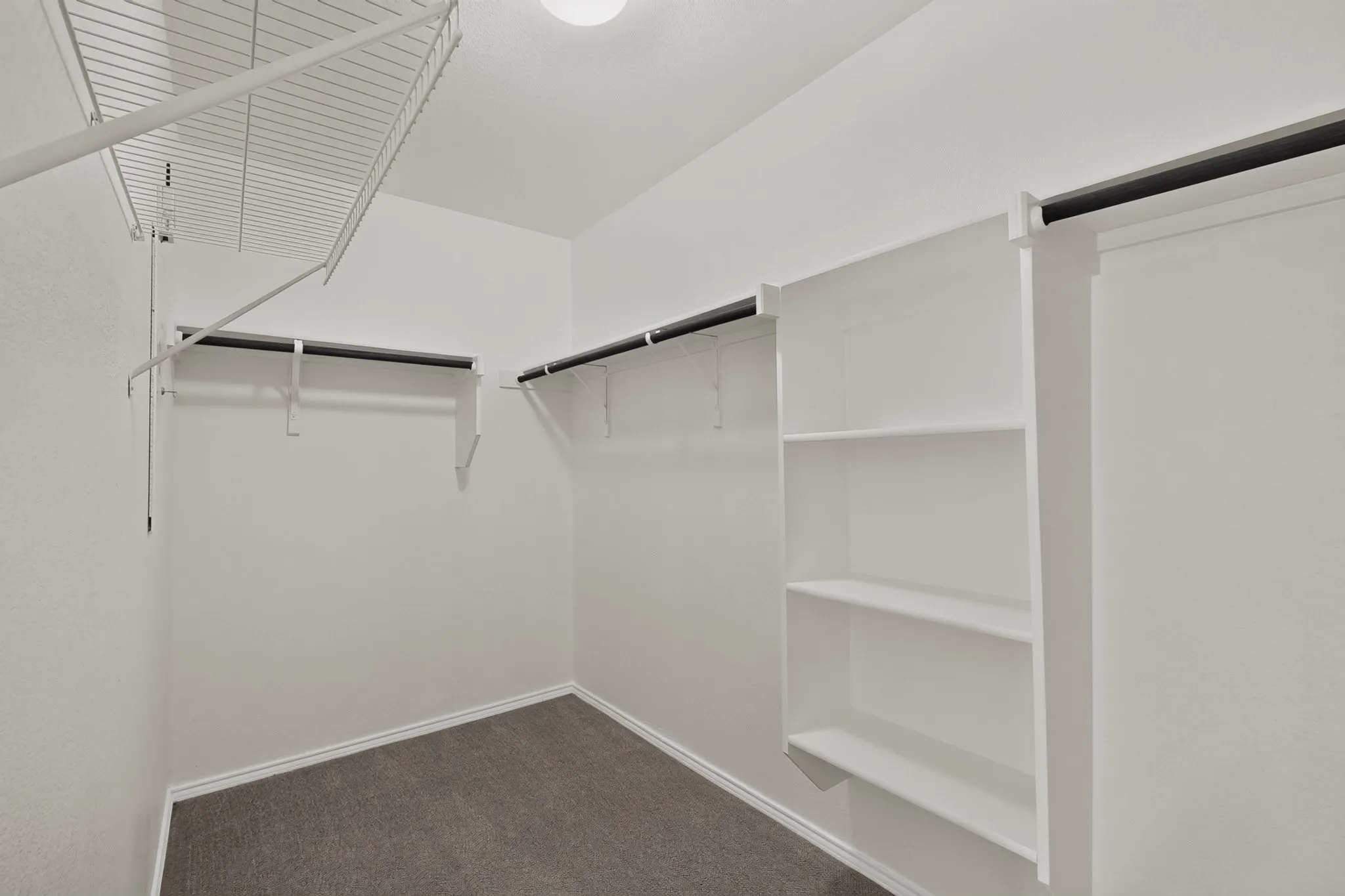 White walk-in closet featuring wire shelving, built-in shelving, and carpet flooring