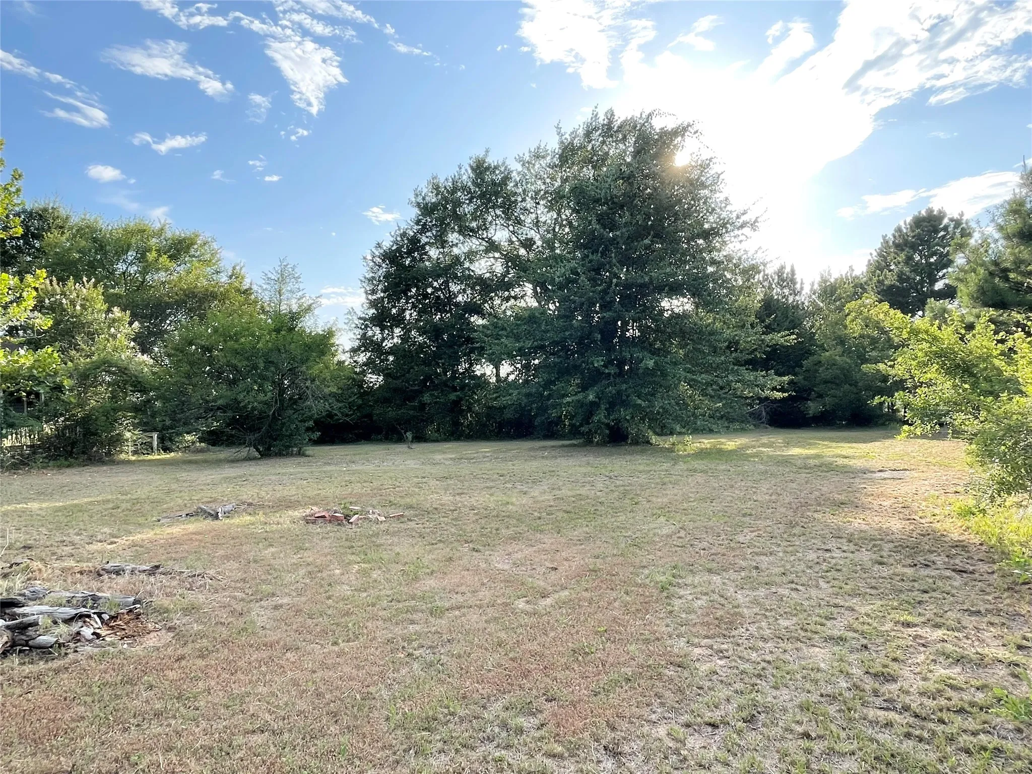 Lots of open grass areas and quite a few trees all around
