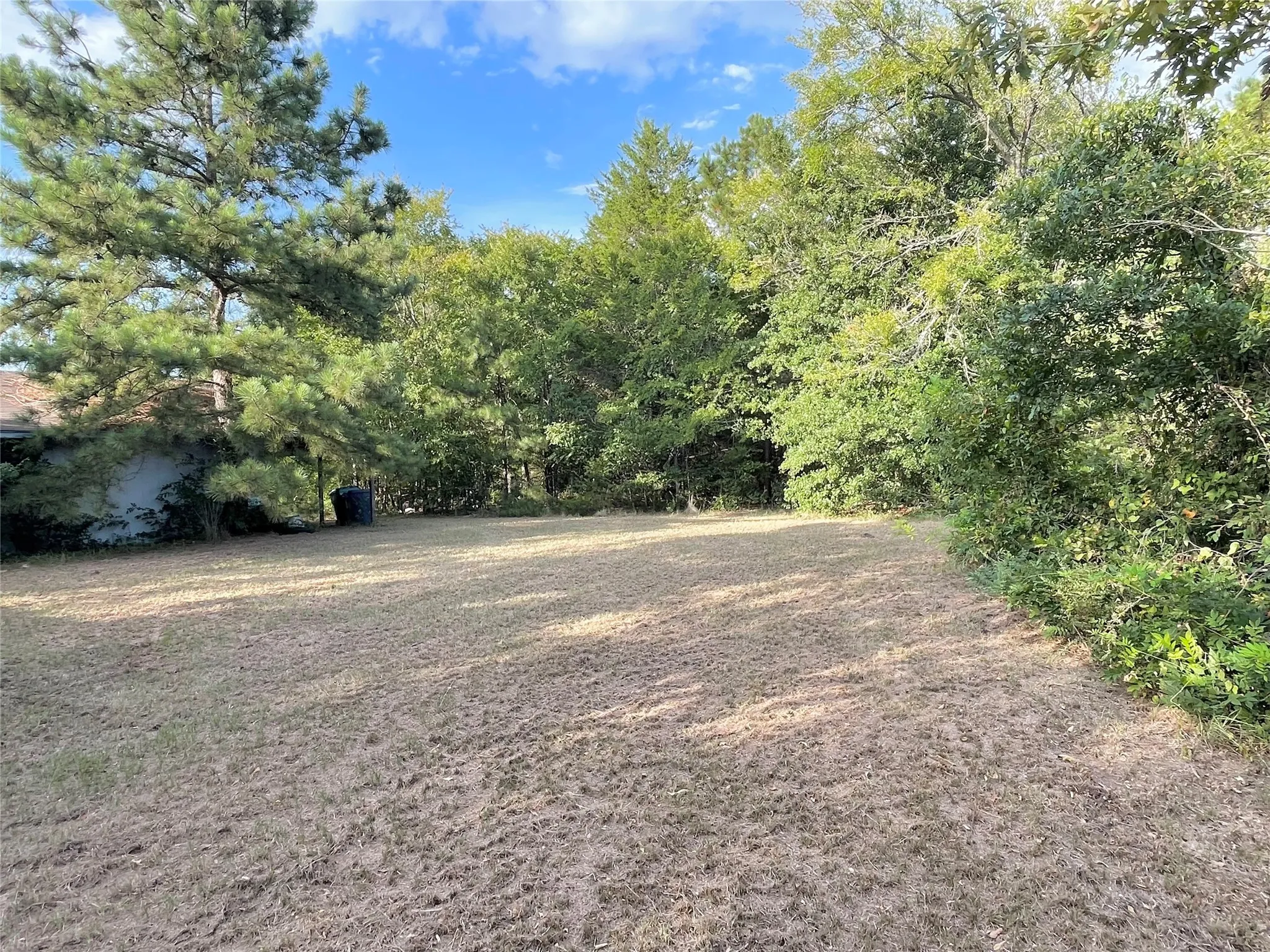 Lots of open grass areas and quite a few trees all around