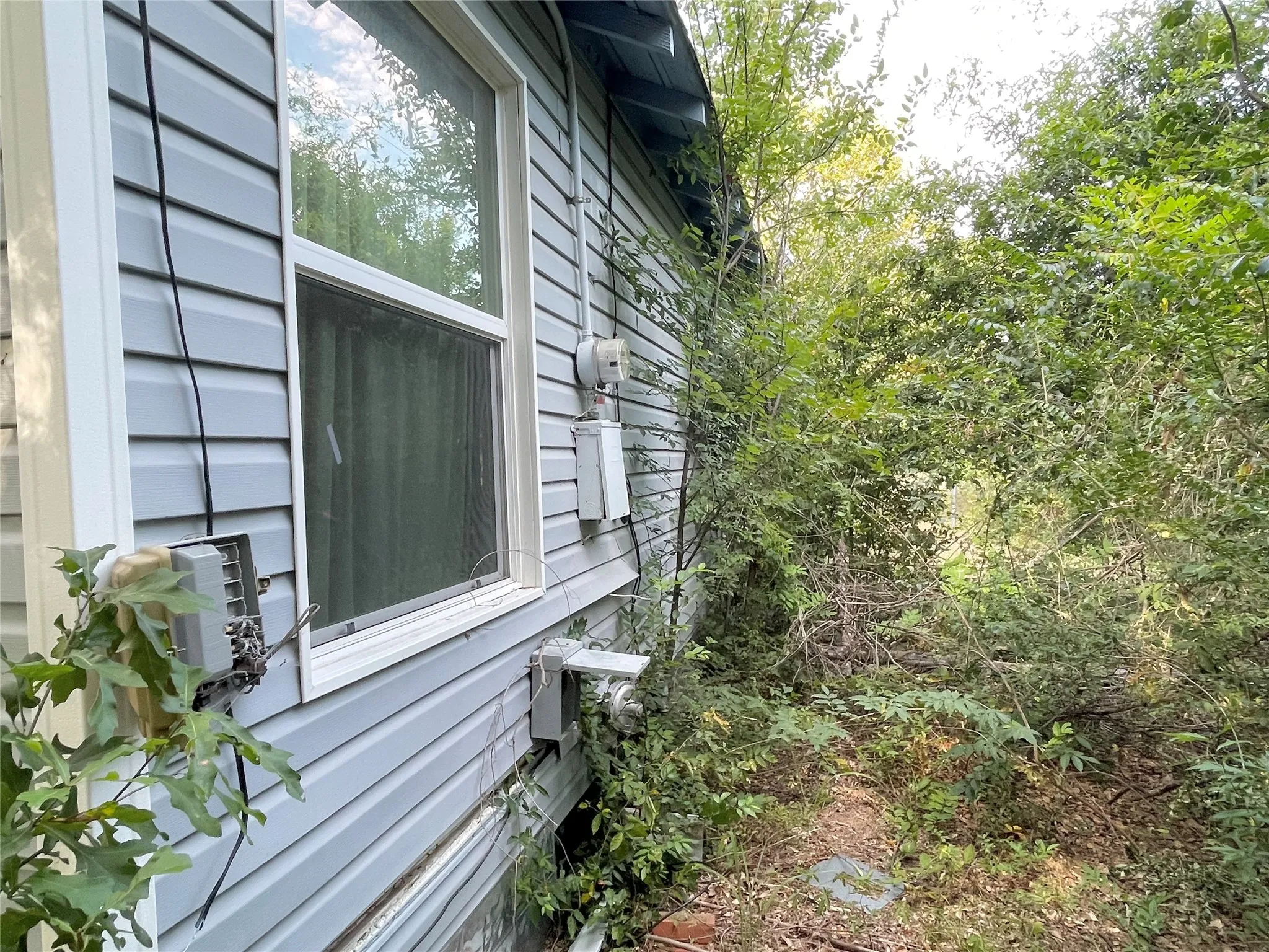 back of house