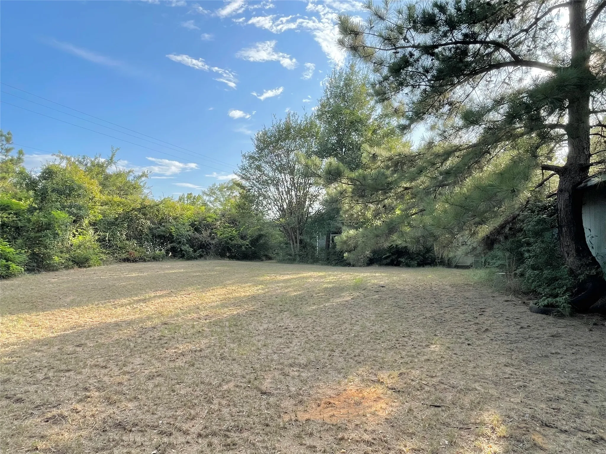 Lots of open grass areas and quite a few trees all around