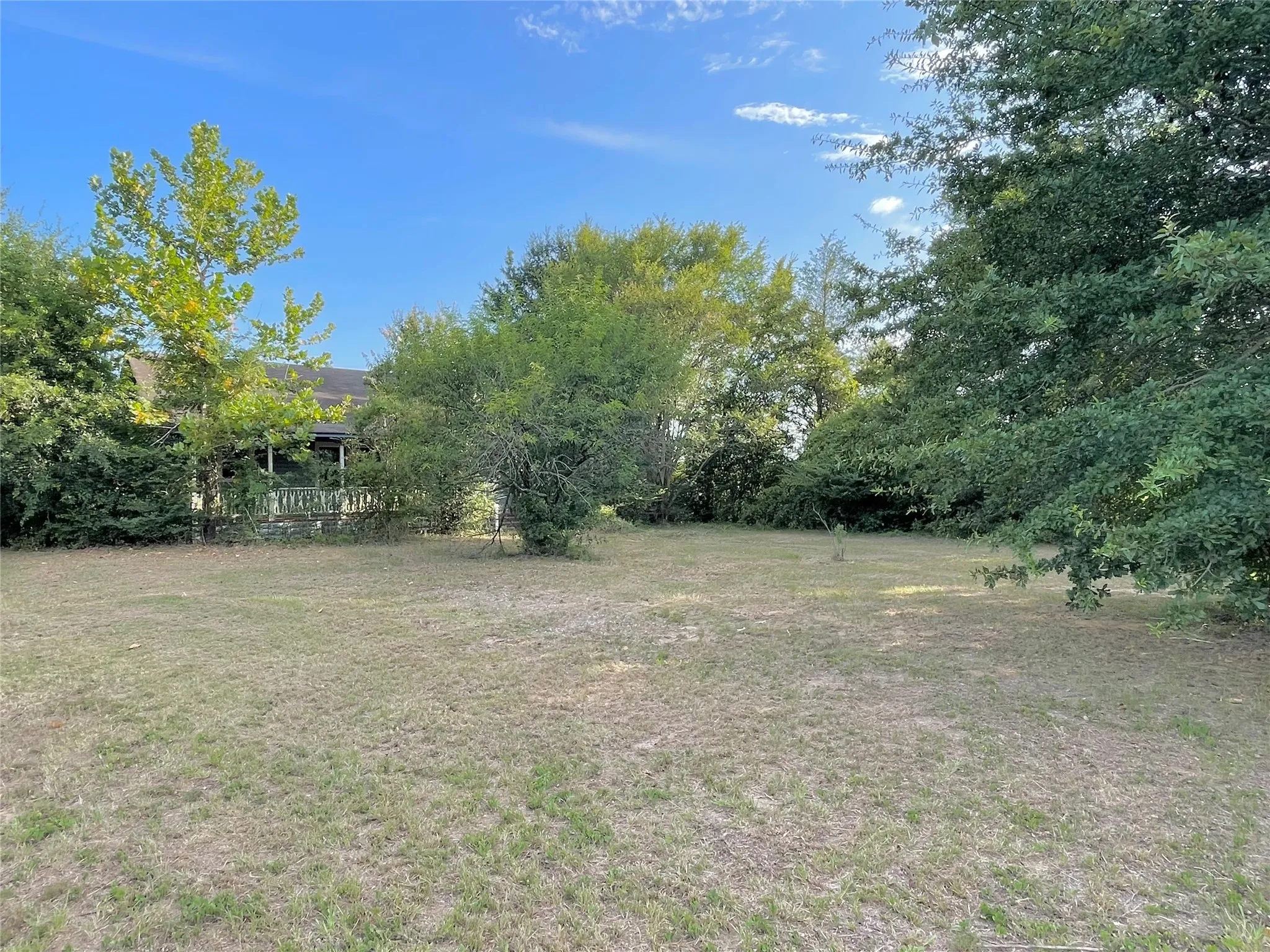 Lots of open grass areas and quite a few trees all around