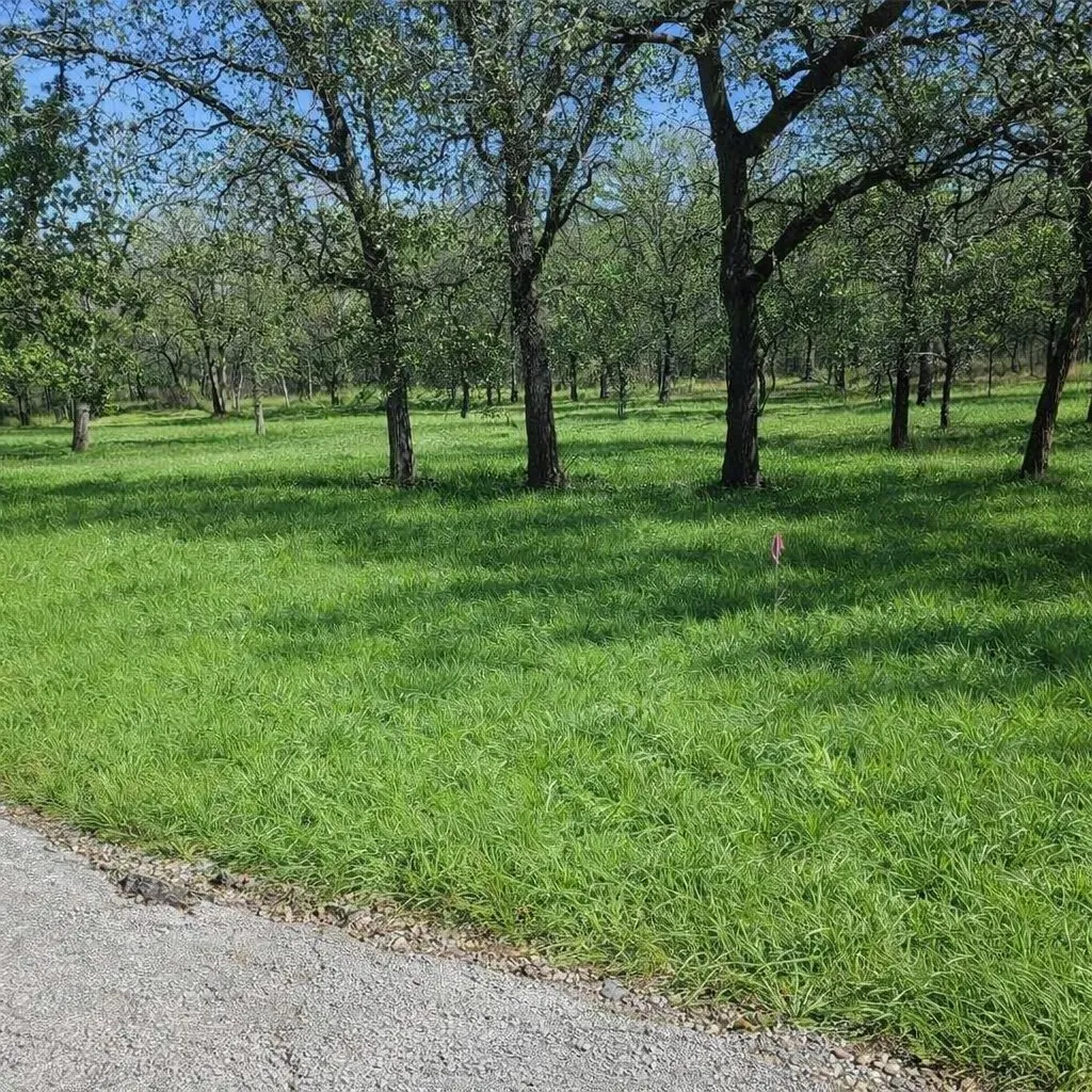 Unimproved Land For Sale in Wise County , 196 Johnston Lane, Runaway Bay, Texas 76426, 0, 0, Garage spaces, 0 Sqft, built in 0, mls#21331085, Real Estate Agent in Runaway Bay, Homes For Sale in Wise county, Homes For Sale in Runaway Bay, Realtor in Runaway Bay Texas, Real Estate Brokerage Independent Realty Texas, Luminita Cordes Realtor