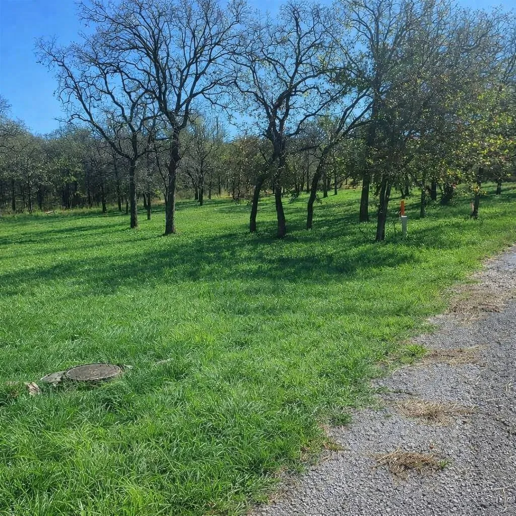 Unimproved Land For Sale in Wise County , 196 Johnston Lane, Runaway Bay, Texas 76426, 0, 0, Garage spaces, 0 Sqft, built in 0, mls#21331085, Real Estate Agent in Runaway Bay, Homes For Sale in Wise county, Homes For Sale in Runaway Bay, Realtor in Runaway Bay Texas, Real Estate Brokerage Independent Realty Texas, Luminita Cordes Realtor