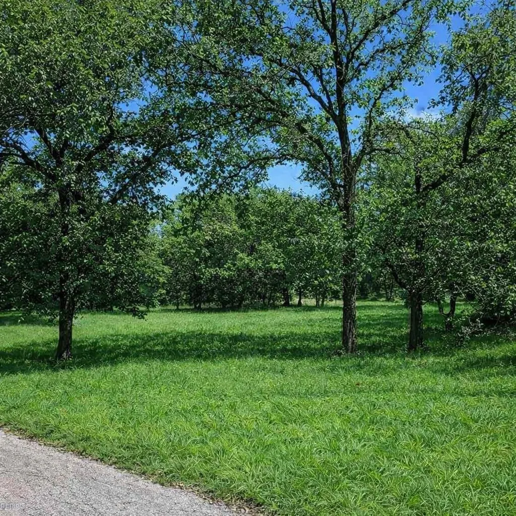 Unimproved Land For Sale in Wise County , 196 Johnston Lane, Runaway Bay, Texas 76426, 0, 0, Garage spaces, 0 Sqft, built in 0, mls#21331085, Real Estate Agent in Runaway Bay, Homes For Sale in Wise county, Homes For Sale in Runaway Bay, Realtor in Runaway Bay Texas, Real Estate Brokerage Independent Realty Texas, Luminita Cordes Realtor
