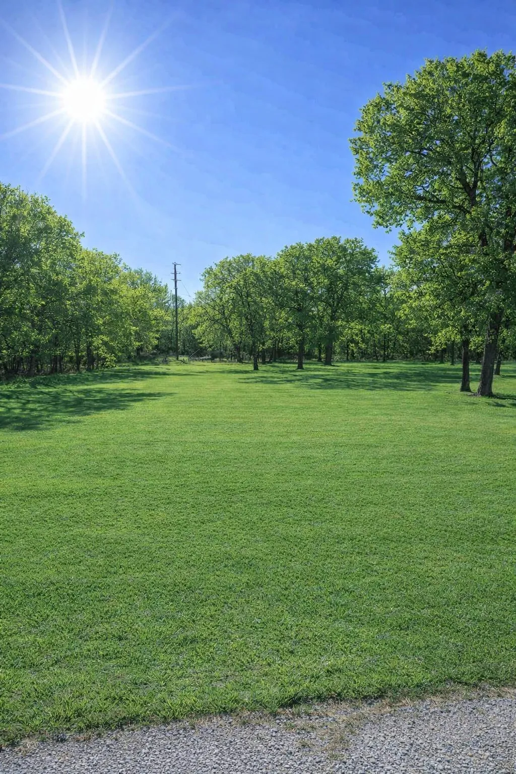 Expansive green lawn surrounded by mature trees, featuring a gravel border
