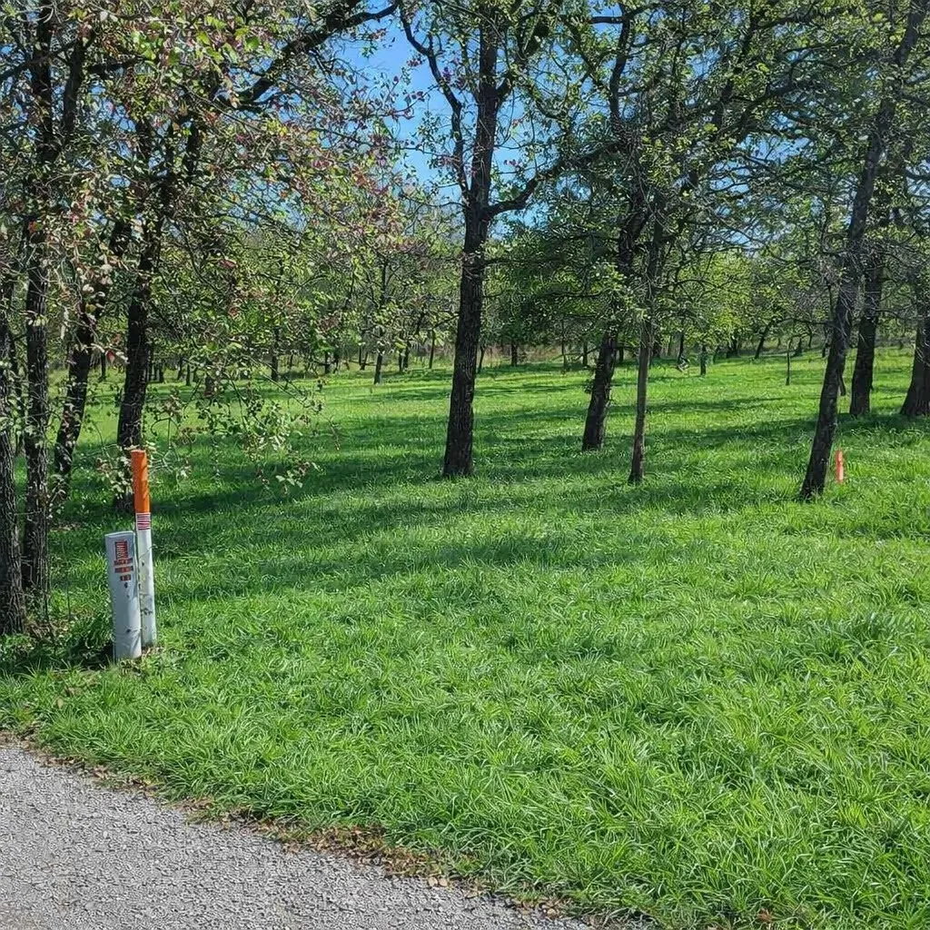 Unimproved Land For Sale in Wise County , 196 Johnston Lane, Runaway Bay, Texas 76426, 0, 0, Garage spaces, 0 Sqft, built in 0, mls#21331085, Real Estate Agent in Runaway Bay, Homes For Sale in Wise county, Homes For Sale in Runaway Bay, Realtor in Runaway Bay Texas, Real Estate Brokerage Independent Realty Texas, Luminita Cordes Realtor