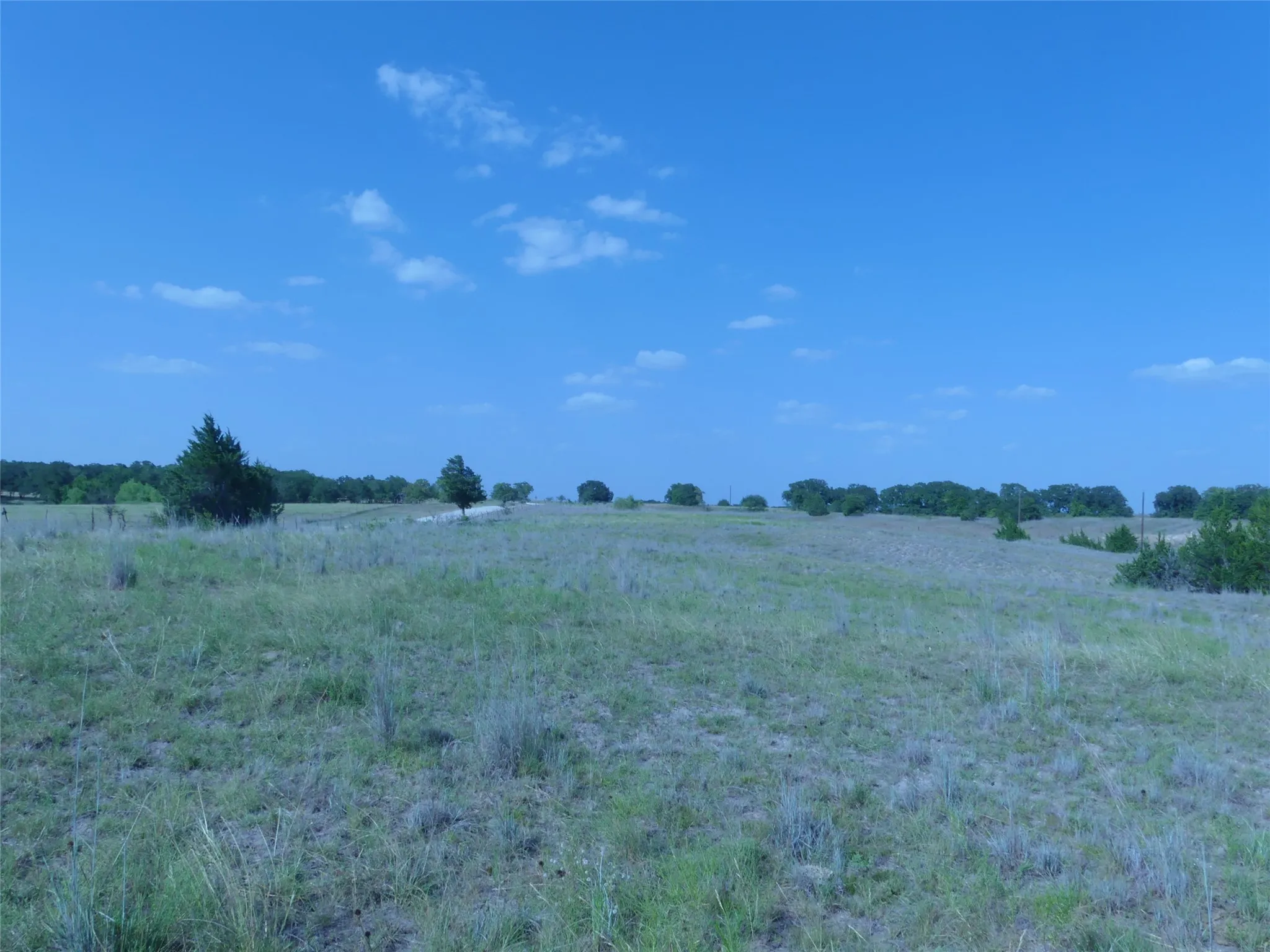 Unimproved Land For Sale in Montague County , 1691 W Alamo Road, Bowie, Texas 76230, 0, 0, Garage spaces, 0 Sqft, built in 0, mls#21332827, Real Estate Agent in Bowie, Homes For Sale in Montague county, Homes For Sale in Bowie, Realtor in Bowie Texas, Real Estate Brokerage Independent Realty Texas, Luminita Cordes Realtor