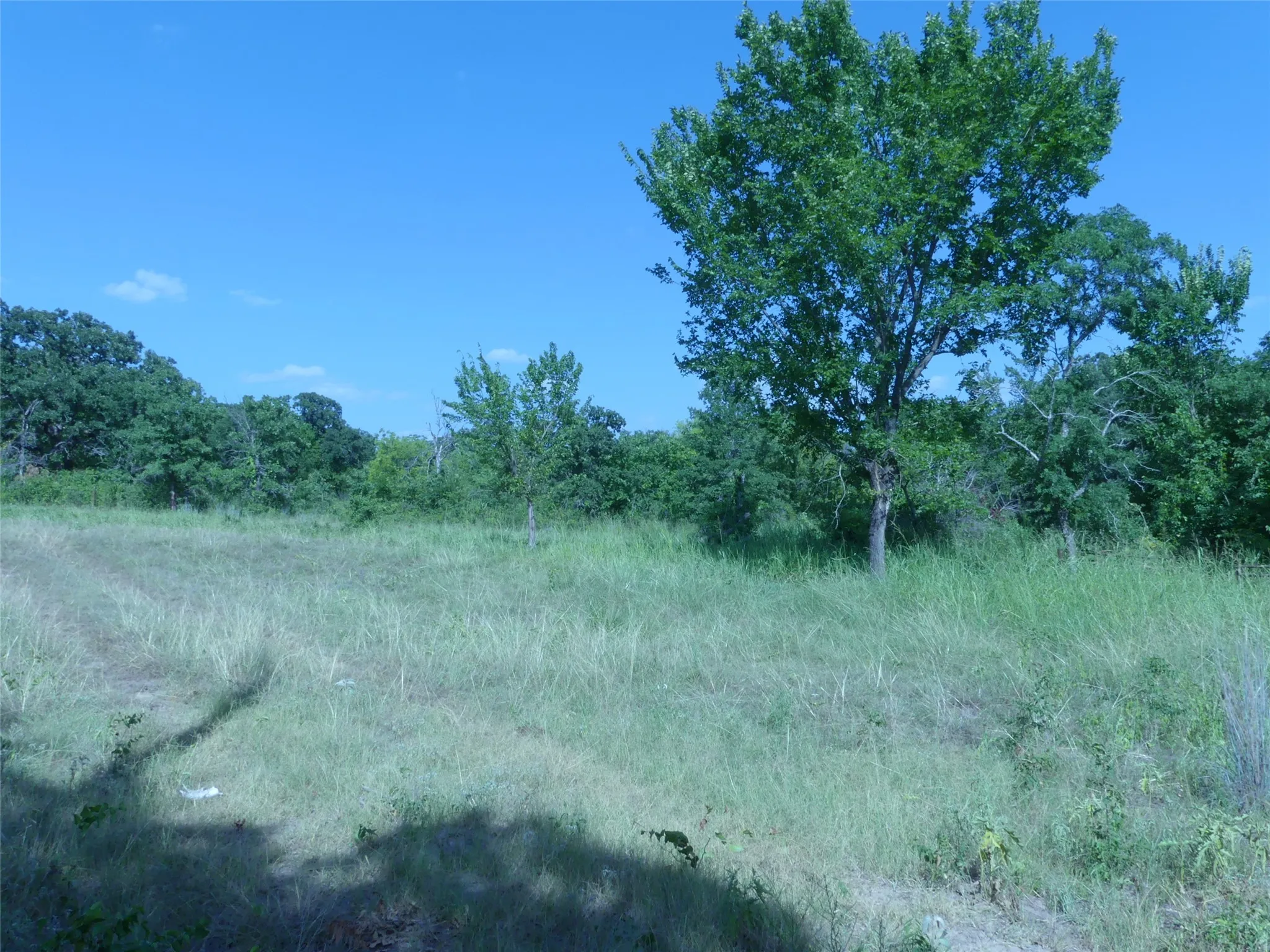 Unimproved Land For Sale in Montague County , 1691 W Alamo Road, Bowie, Texas 76230, 0, 0, Garage spaces, 0 Sqft, built in 0, mls#21332827, Real Estate Agent in Bowie, Homes For Sale in Montague county, Homes For Sale in Bowie, Realtor in Bowie Texas, Real Estate Brokerage Independent Realty Texas, Luminita Cordes Realtor