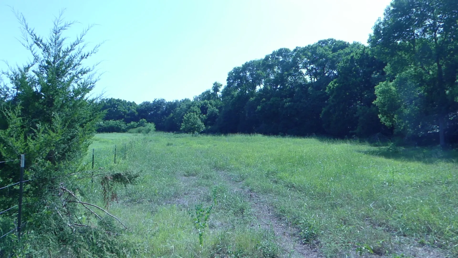 Unimproved Land For Sale in Montague County , 1691 W Alamo Road, Bowie, Texas 76230, 0, 0, Garage spaces, 0 Sqft, built in 0, mls#21332827, Real Estate Agent in Bowie, Homes For Sale in Montague county, Homes For Sale in Bowie, Realtor in Bowie Texas, Real Estate Brokerage Independent Realty Texas, Luminita Cordes Realtor