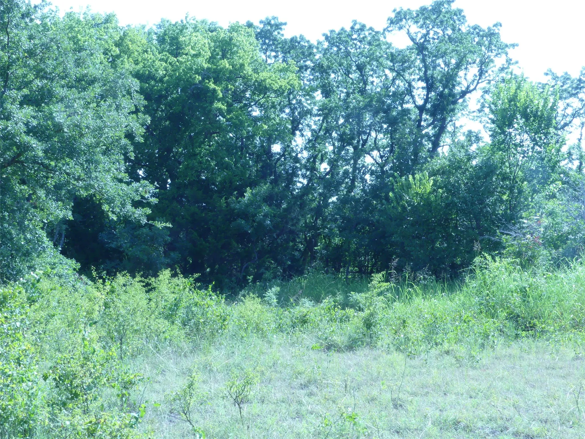 Unimproved Land For Sale in Montague County , 1691 W Alamo Road, Bowie, Texas 76230, 0, 0, Garage spaces, 0 Sqft, built in 0, mls#21332827, Real Estate Agent in Bowie, Homes For Sale in Montague county, Homes For Sale in Bowie, Realtor in Bowie Texas, Real Estate Brokerage Independent Realty Texas, Luminita Cordes Realtor