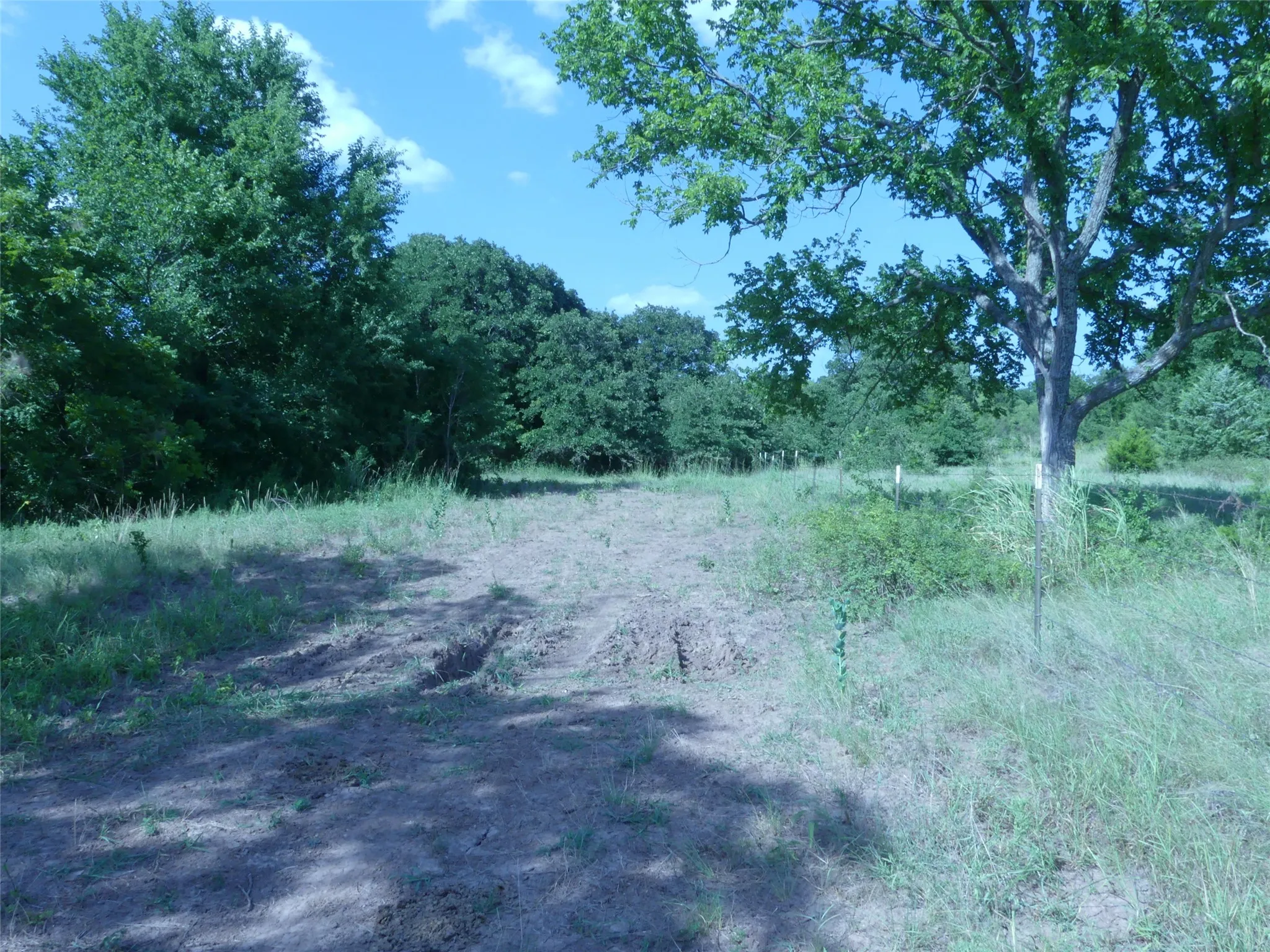Unimproved Land For Sale in Montague County , 1691 W Alamo Road, Bowie, Texas 76230, 0, 0, Garage spaces, 0 Sqft, built in 0, mls#21332827, Real Estate Agent in Bowie, Homes For Sale in Montague county, Homes For Sale in Bowie, Realtor in Bowie Texas, Real Estate Brokerage Independent Realty Texas, Luminita Cordes Realtor