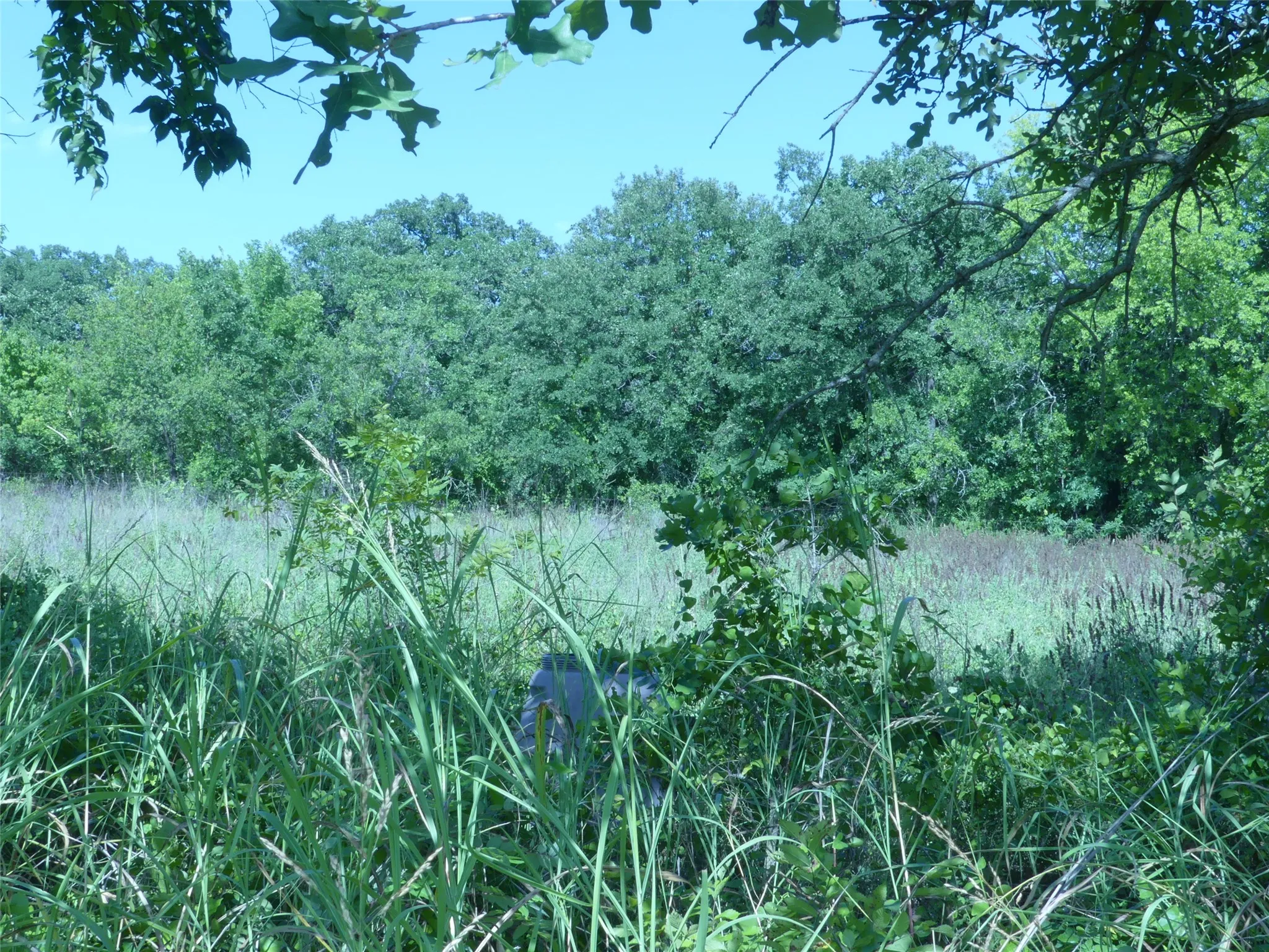 Unimproved Land For Sale in Montague County , 1691 W Alamo Road, Bowie, Texas 76230, 0, 0, Garage spaces, 0 Sqft, built in 0, mls#21332827, Real Estate Agent in Bowie, Homes For Sale in Montague county, Homes For Sale in Bowie, Realtor in Bowie Texas, Real Estate Brokerage Independent Realty Texas, Luminita Cordes Realtor