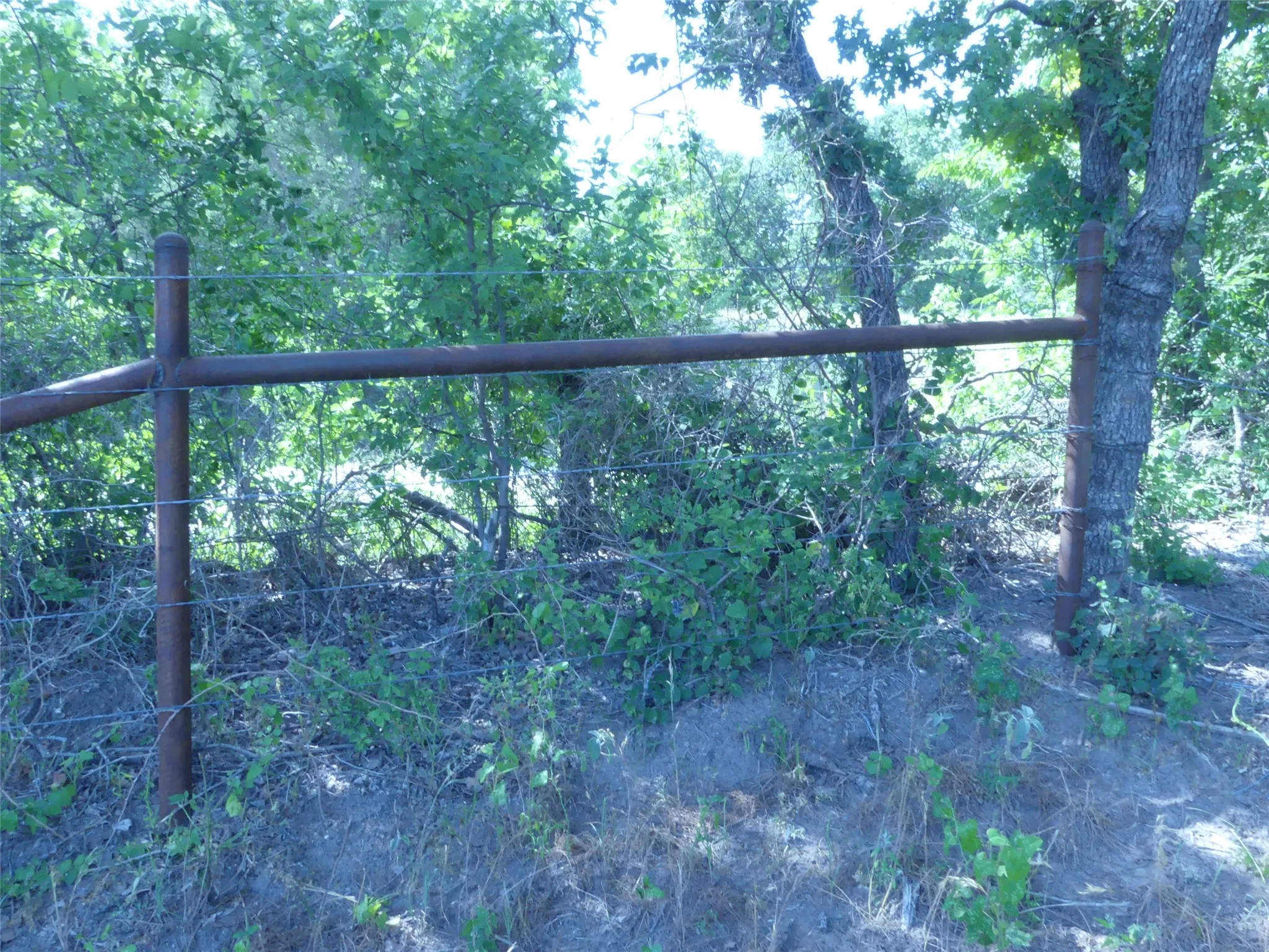 Unimproved Land For Sale in Montague County , 1691 W Alamo Road, Bowie, Texas 76230, 0, 0, Garage spaces, 0 Sqft, built in 0, mls#21332827, Real Estate Agent in Bowie, Homes For Sale in Montague county, Homes For Sale in Bowie, Realtor in Bowie Texas, Real Estate Brokerage Independent Realty Texas, Luminita Cordes Realtor