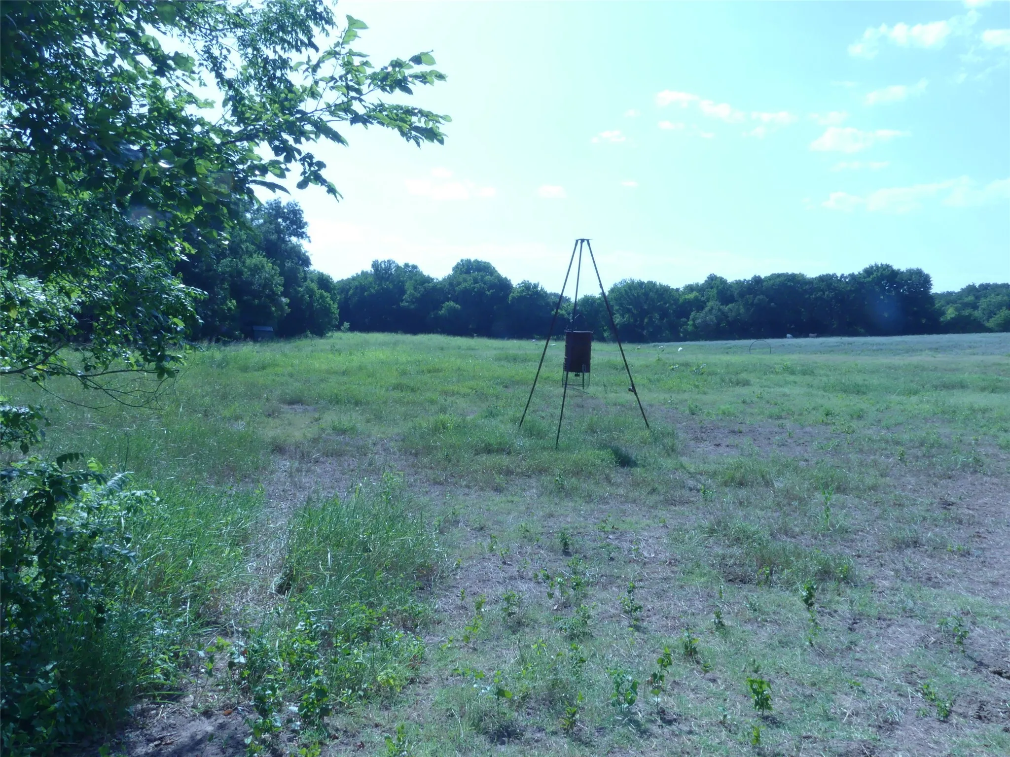 Unimproved Land For Sale in Montague County , 1691 W Alamo Road, Bowie, Texas 76230, 0, 0, Garage spaces, 0 Sqft, built in 0, mls#21332827, Real Estate Agent in Bowie, Homes For Sale in Montague county, Homes For Sale in Bowie, Realtor in Bowie Texas, Real Estate Brokerage Independent Realty Texas, Luminita Cordes Realtor