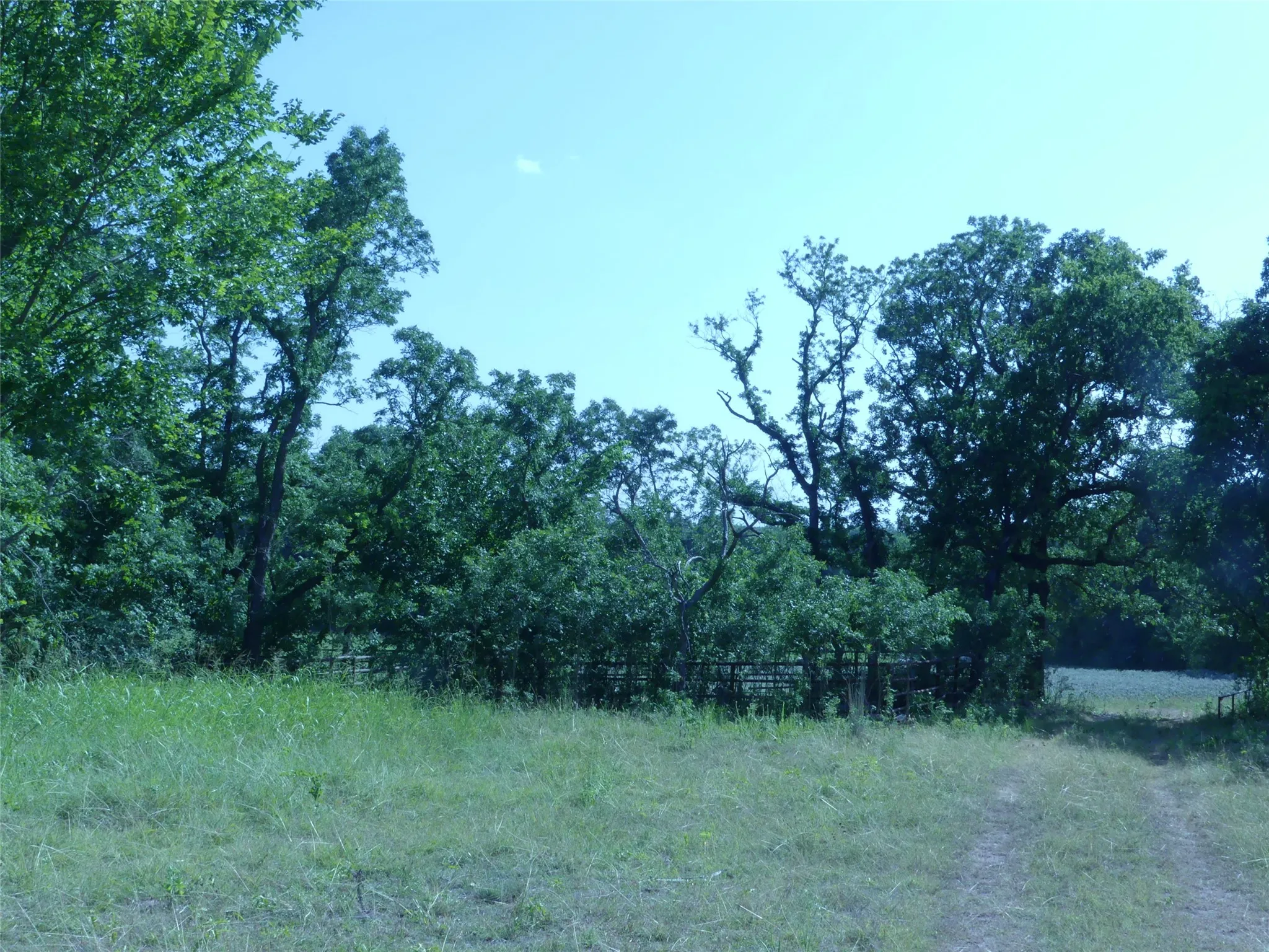 Unimproved Land For Sale in Montague County , 1691 W Alamo Road, Bowie, Texas 76230, 0, 0, Garage spaces, 0 Sqft, built in 0, mls#21332827, Real Estate Agent in Bowie, Homes For Sale in Montague county, Homes For Sale in Bowie, Realtor in Bowie Texas, Real Estate Brokerage Independent Realty Texas, Luminita Cordes Realtor
