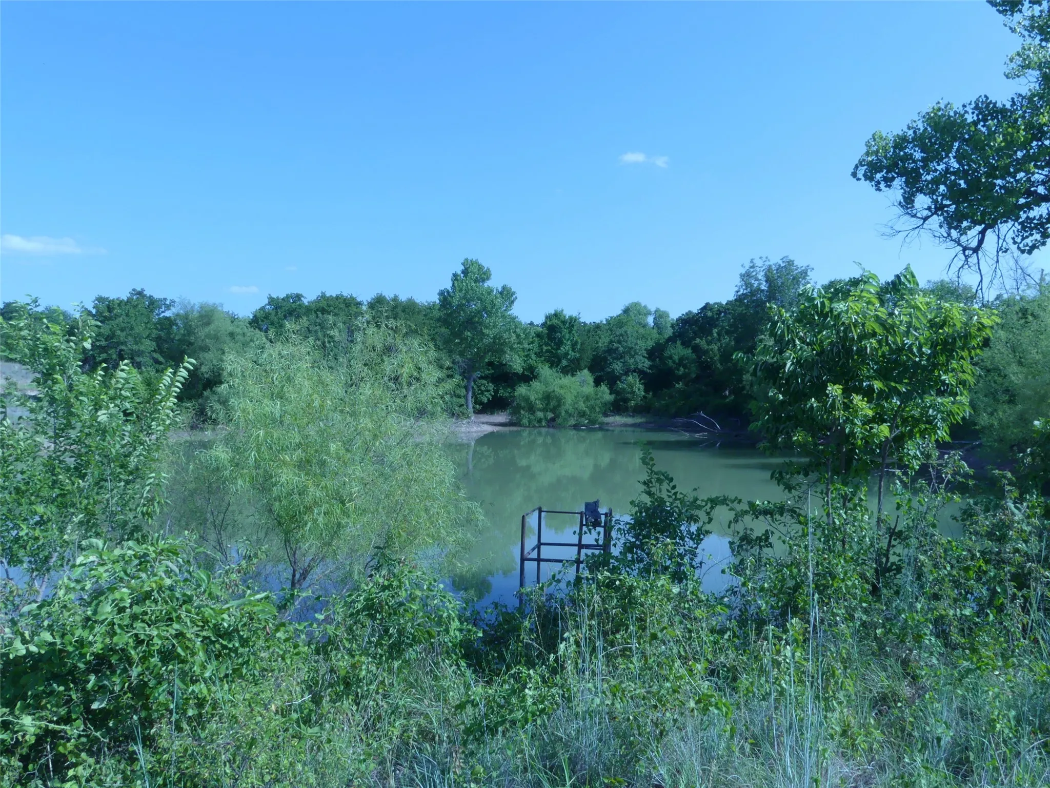 Unimproved Land For Sale in Montague County , 1691 W Alamo Road, Bowie, Texas 76230, 0, 0, Garage spaces, 0 Sqft, built in 0, mls#21332827, Real Estate Agent in Bowie, Homes For Sale in Montague county, Homes For Sale in Bowie, Realtor in Bowie Texas, Real Estate Brokerage Independent Realty Texas, Luminita Cordes Realtor
