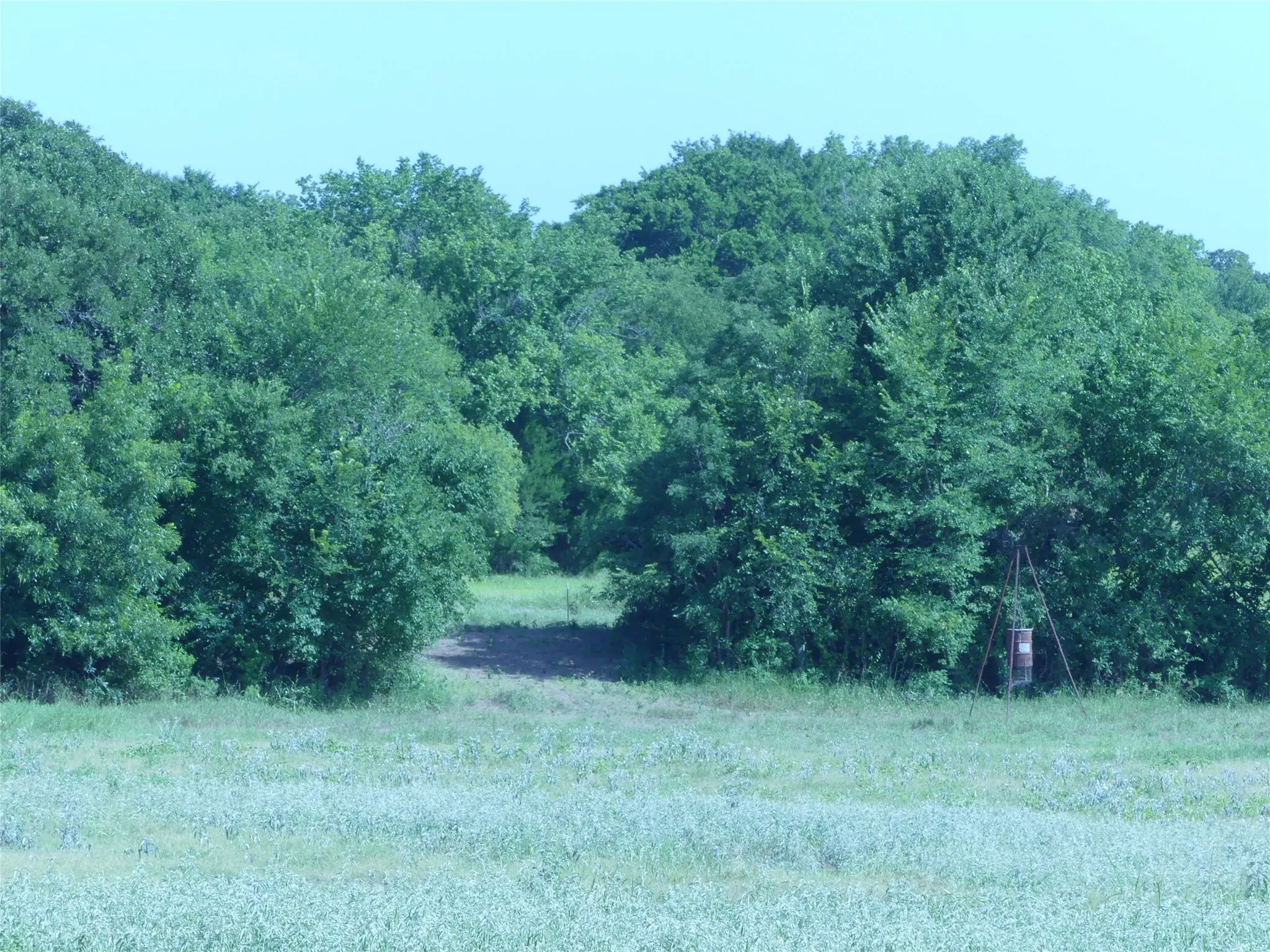 Unimproved Land For Sale in Montague County , 1691 W Alamo Road, Bowie, Texas 76230, 0, 0, Garage spaces, 0 Sqft, built in 0, mls#21332827, Real Estate Agent in Bowie, Homes For Sale in Montague county, Homes For Sale in Bowie, Realtor in Bowie Texas, Real Estate Brokerage Independent Realty Texas, Luminita Cordes Realtor