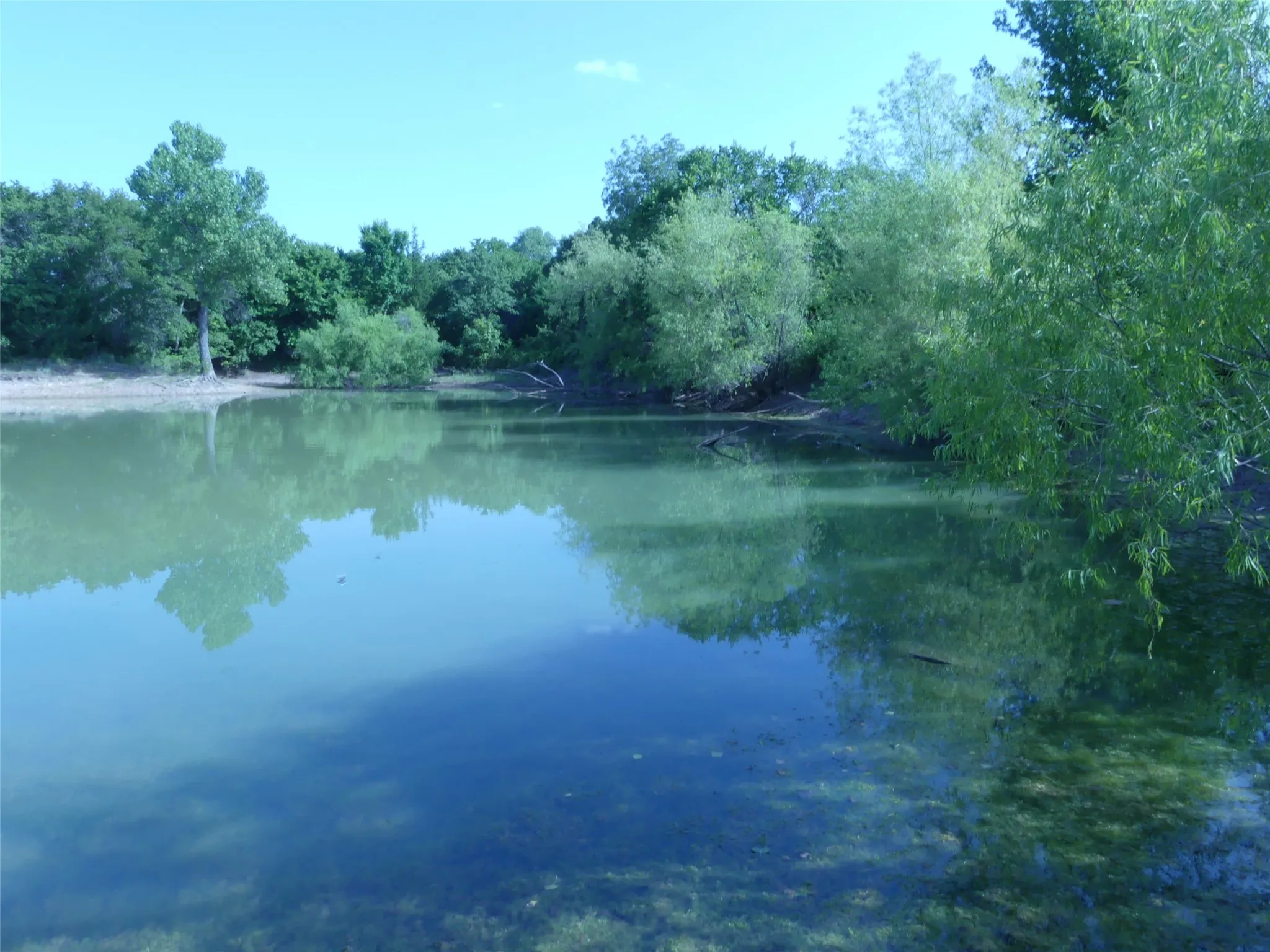 Unimproved Land For Sale in Montague County , 1691 W Alamo Road, Bowie, Texas 76230, 0, 0, Garage spaces, 0 Sqft, built in 0, mls#21332827, Real Estate Agent in Bowie, Homes For Sale in Montague county, Homes For Sale in Bowie, Realtor in Bowie Texas, Real Estate Brokerage Independent Realty Texas, Luminita Cordes Realtor