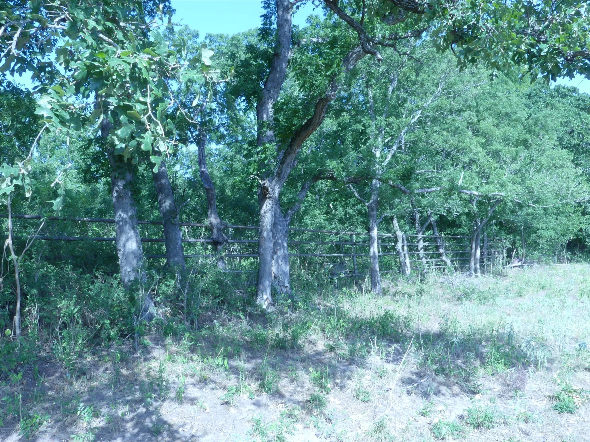 Unimproved Land For Sale in Montague County , 1691 W Alamo Road, Bowie, Texas 76230, 0, 0, Garage spaces, 0 Sqft, built in 0, mls#21332827, Real Estate Agent in Bowie, Homes For Sale in Montague county, Homes For Sale in Bowie, Realtor in Bowie Texas, Real Estate Brokerage Independent Realty Texas, Luminita Cordes Realtor