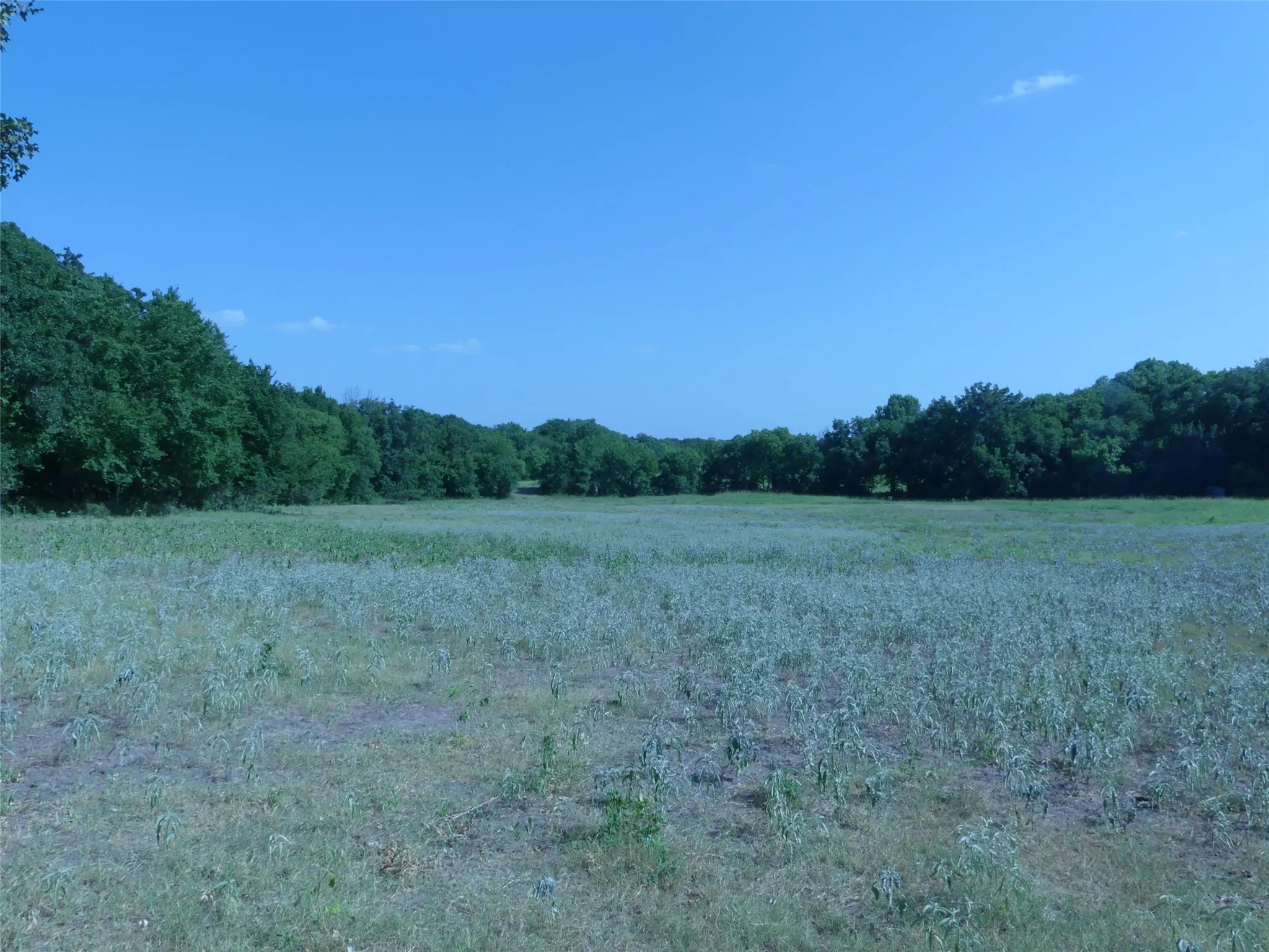 Unimproved Land For Sale in Montague County , 1691 W Alamo Road, Bowie, Texas 76230, 0, 0, Garage spaces, 0 Sqft, built in 0, mls#21332827, Real Estate Agent in Bowie, Homes For Sale in Montague county, Homes For Sale in Bowie, Realtor in Bowie Texas, Real Estate Brokerage Independent Realty Texas, Luminita Cordes Realtor