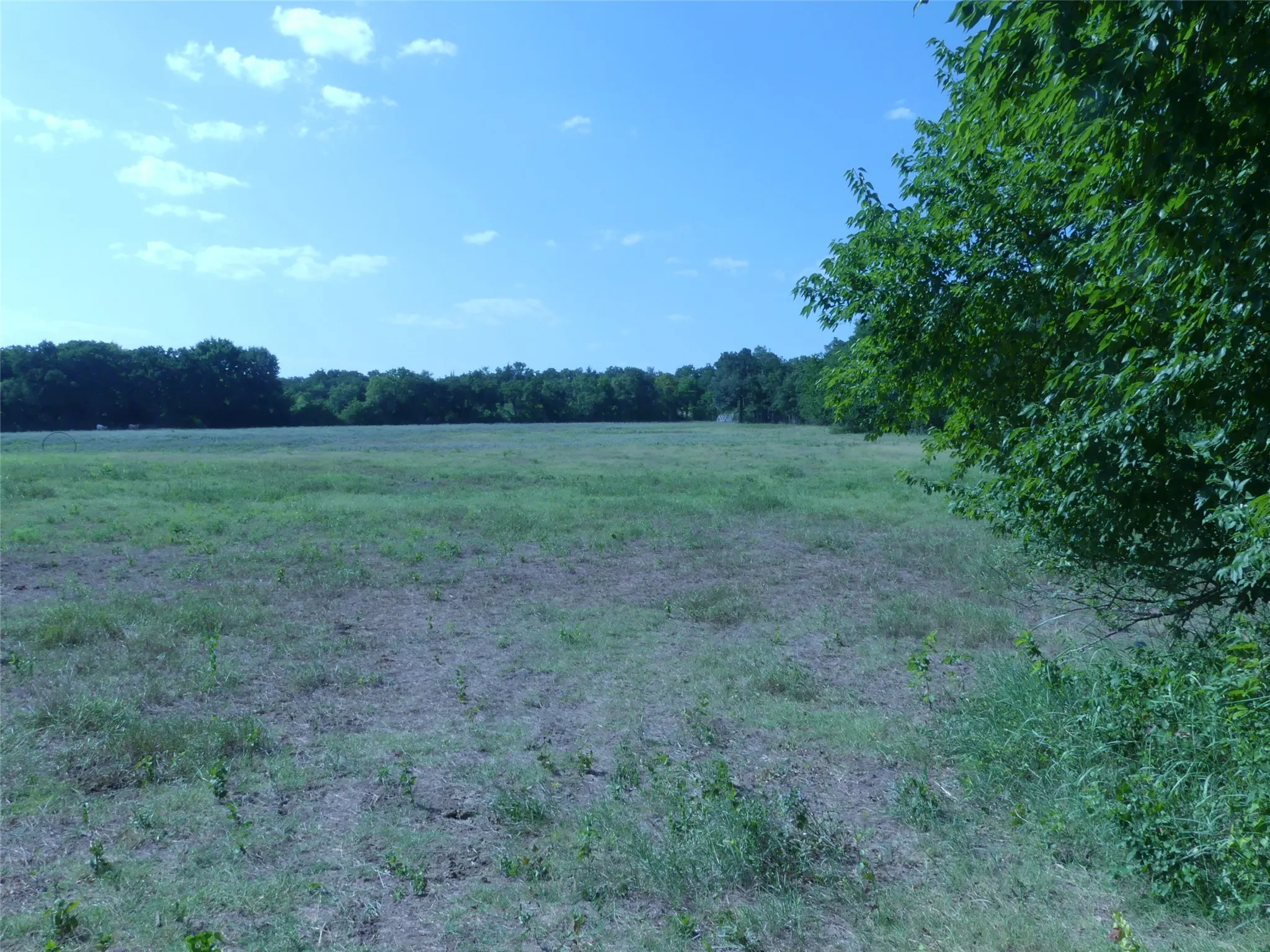 Unimproved Land For Sale in Montague County , 1691 W Alamo Road, Bowie, Texas 76230, 0, 0, Garage spaces, 0 Sqft, built in 0, mls#21332827, Real Estate Agent in Bowie, Homes For Sale in Montague county, Homes For Sale in Bowie, Realtor in Bowie Texas, Real Estate Brokerage Independent Realty Texas, Luminita Cordes Realtor