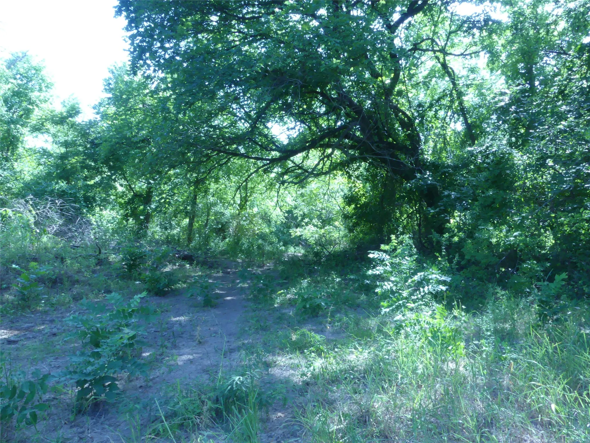 Unimproved Land For Sale in Montague County , 1691 W Alamo Road, Bowie, Texas 76230, 0, 0, Garage spaces, 0 Sqft, built in 0, mls#21332827, Real Estate Agent in Bowie, Homes For Sale in Montague county, Homes For Sale in Bowie, Realtor in Bowie Texas, Real Estate Brokerage Independent Realty Texas, Luminita Cordes Realtor