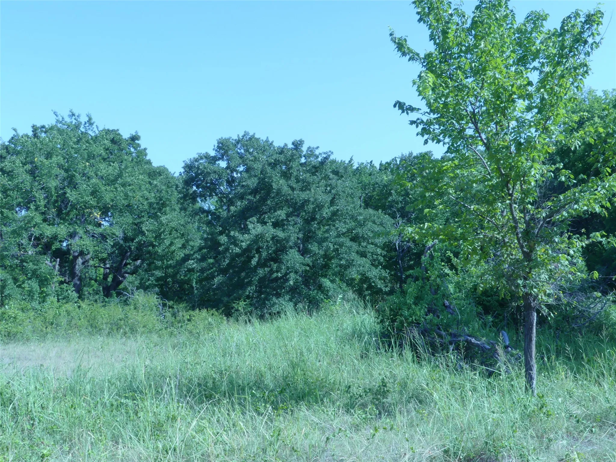 Unimproved Land For Sale in Montague County , 1691 W Alamo Road, Bowie, Texas 76230, 0, 0, Garage spaces, 0 Sqft, built in 0, mls#21332827, Real Estate Agent in Bowie, Homes For Sale in Montague county, Homes For Sale in Bowie, Realtor in Bowie Texas, Real Estate Brokerage Independent Realty Texas, Luminita Cordes Realtor