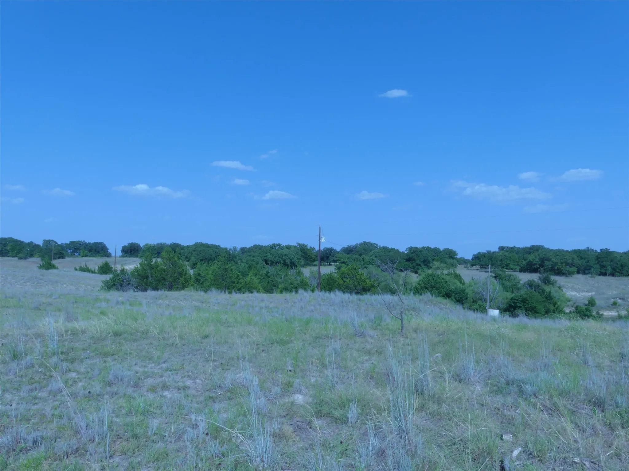 Unimproved Land For Sale in Montague County , 1691 W Alamo Road, Bowie, Texas 76230, 0, 0, Garage spaces, 0 Sqft, built in 0, mls#21332827, Real Estate Agent in Bowie, Homes For Sale in Montague county, Homes For Sale in Bowie, Realtor in Bowie Texas, Real Estate Brokerage Independent Realty Texas, Luminita Cordes Realtor