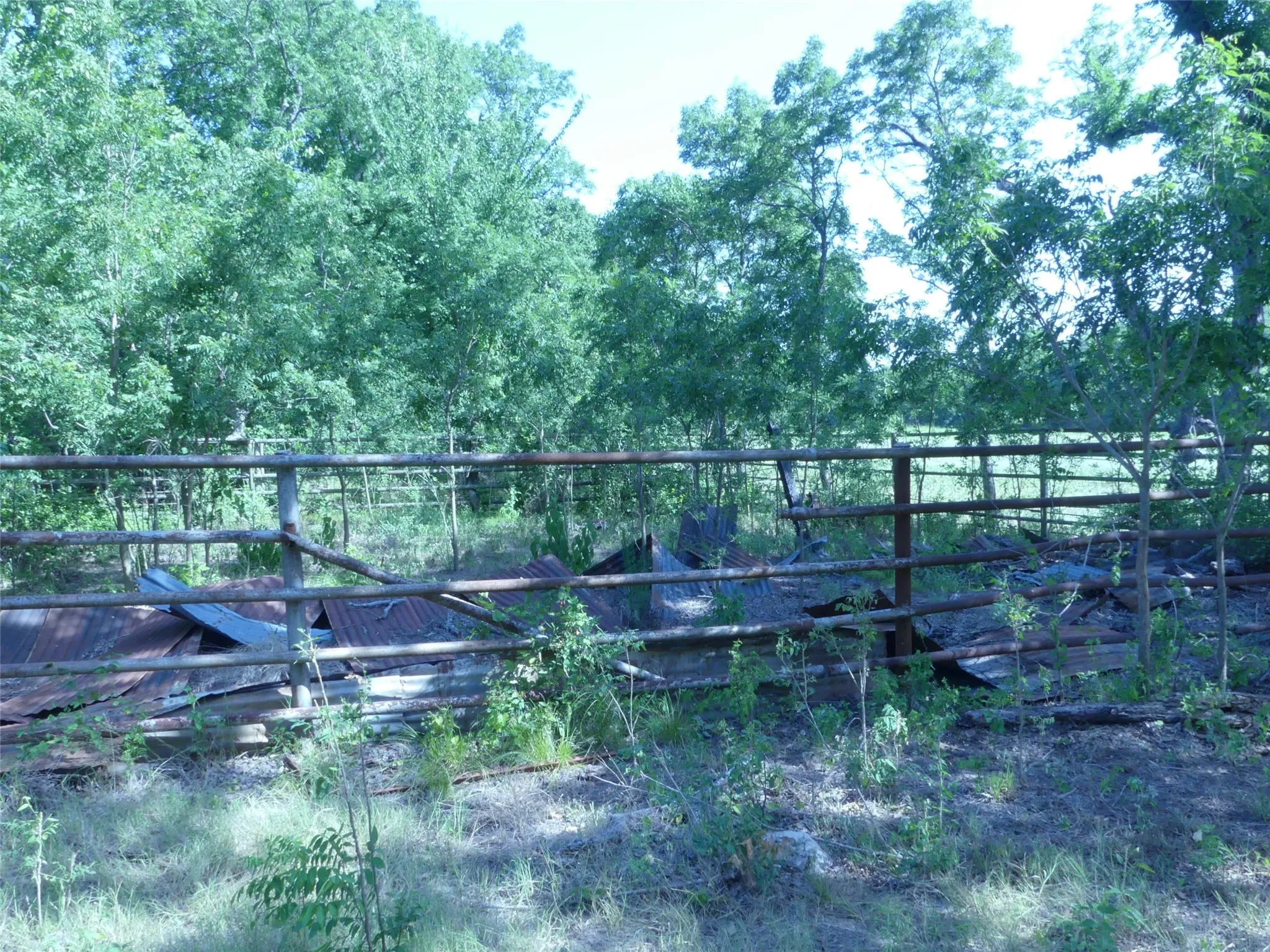 Unimproved Land For Sale in Montague County , 1691 W Alamo Road, Bowie, Texas 76230, 0, 0, Garage spaces, 0 Sqft, built in 0, mls#21332827, Real Estate Agent in Bowie, Homes For Sale in Montague county, Homes For Sale in Bowie, Realtor in Bowie Texas, Real Estate Brokerage Independent Realty Texas, Luminita Cordes Realtor