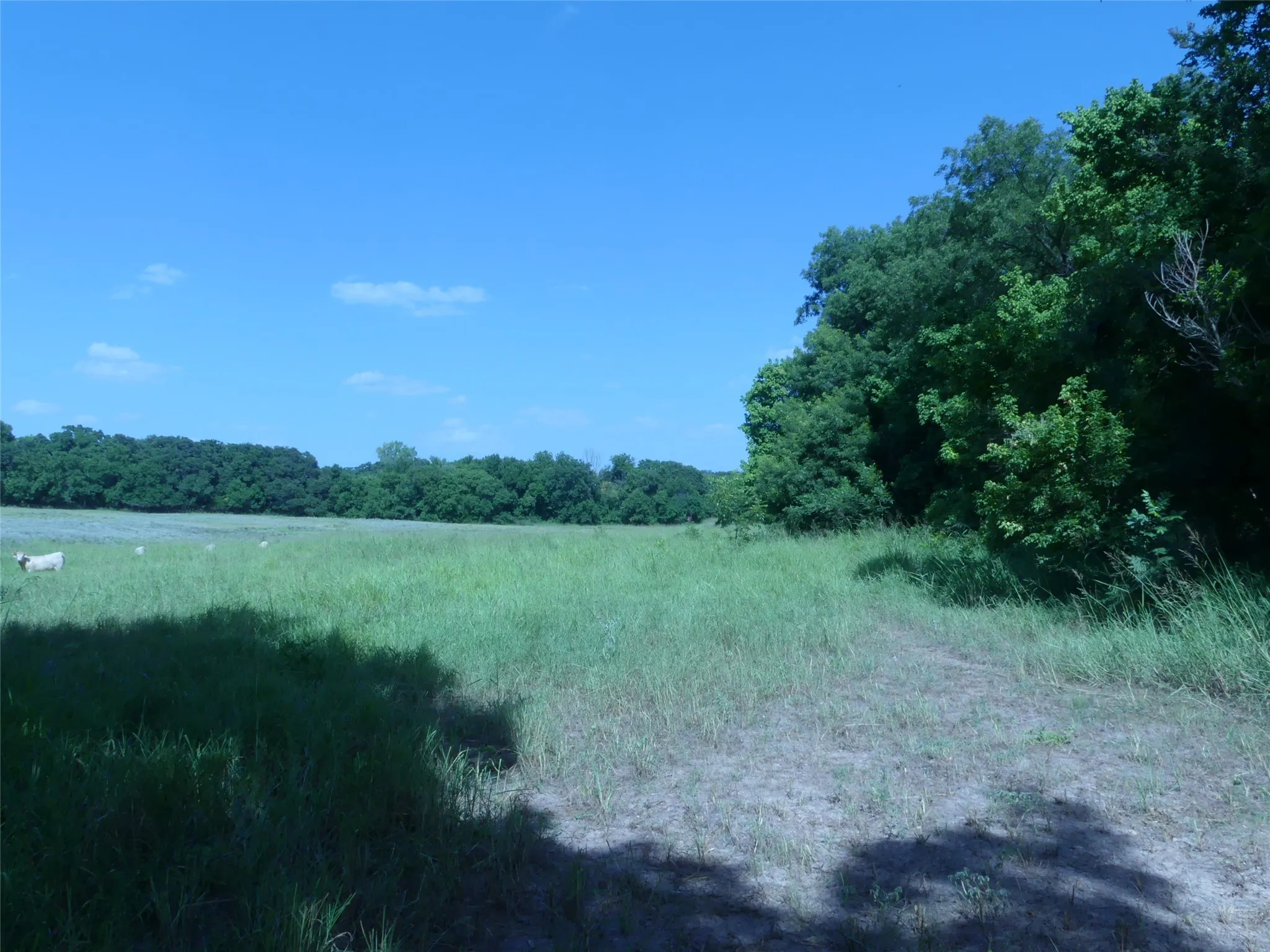 Unimproved Land For Sale in Montague County , 1691 W Alamo Road, Bowie, Texas 76230, 0, 0, Garage spaces, 0 Sqft, built in 0, mls#21332827, Real Estate Agent in Bowie, Homes For Sale in Montague county, Homes For Sale in Bowie, Realtor in Bowie Texas, Real Estate Brokerage Independent Realty Texas, Luminita Cordes Realtor