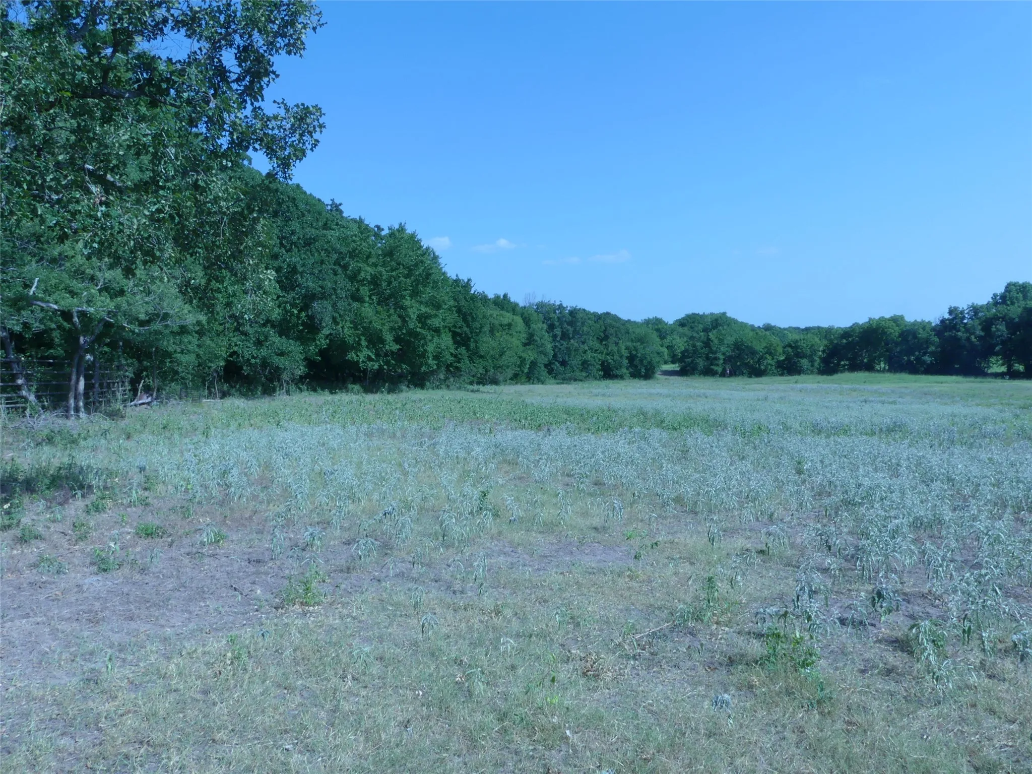 Unimproved Land For Sale in Montague County , 1691 W Alamo Road, Bowie, Texas 76230, 0, 0, Garage spaces, 0 Sqft, built in 0, mls#21332827, Real Estate Agent in Bowie, Homes For Sale in Montague county, Homes For Sale in Bowie, Realtor in Bowie Texas, Real Estate Brokerage Independent Realty Texas, Luminita Cordes Realtor