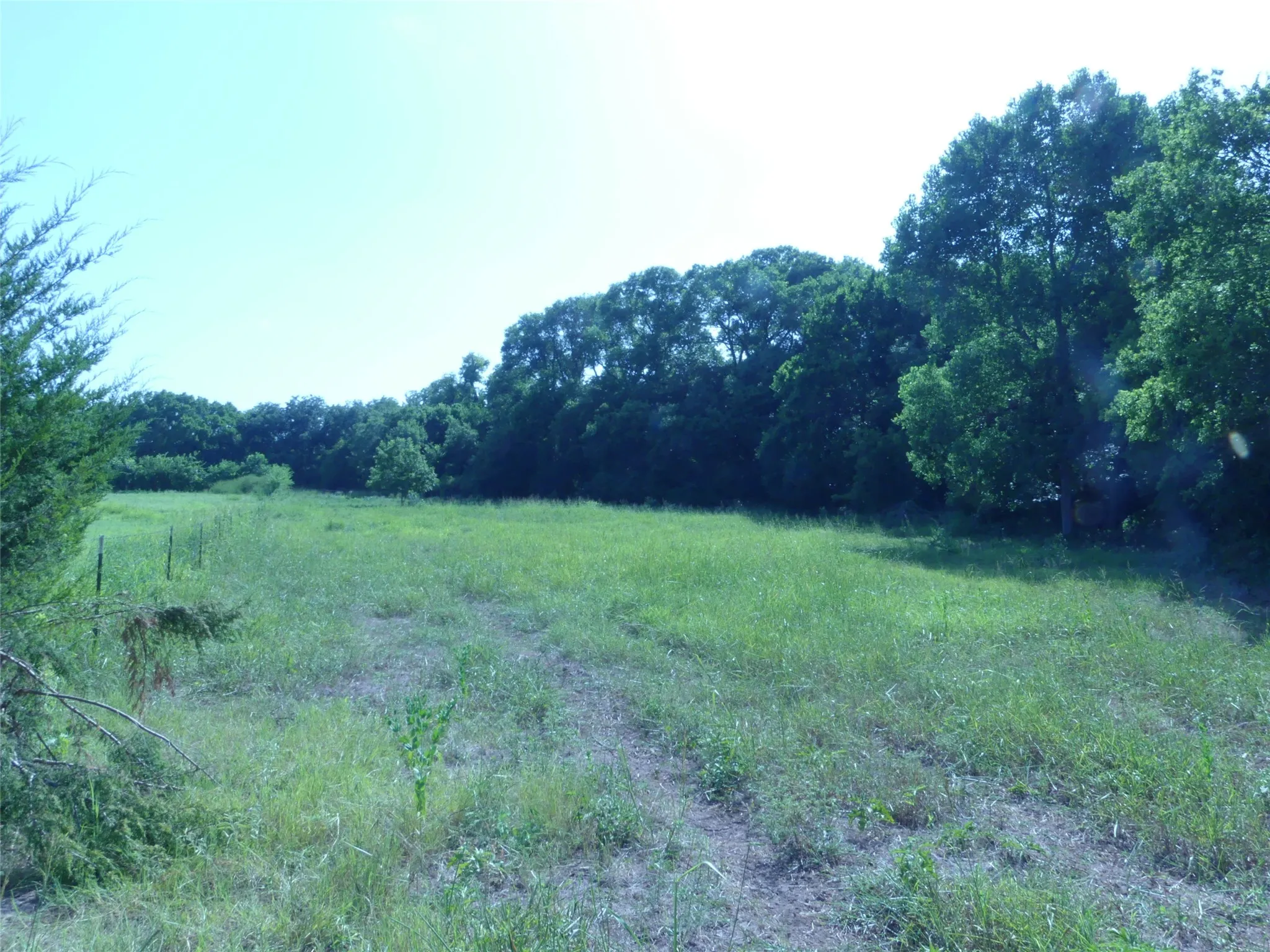 Unimproved Land For Sale in Montague County , 1691 W Alamo Road, Bowie, Texas 76230, 0, 0, Garage spaces, 0 Sqft, built in 0, mls#21332827, Real Estate Agent in Bowie, Homes For Sale in Montague county, Homes For Sale in Bowie, Realtor in Bowie Texas, Real Estate Brokerage Independent Realty Texas, Luminita Cordes Realtor