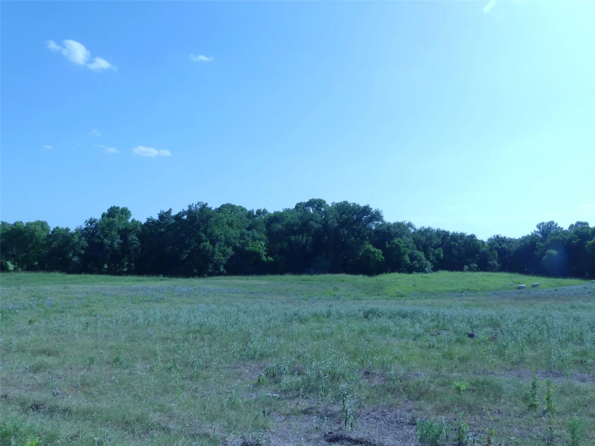 Unimproved Land For Sale in Montague County , 1691 W Alamo Road, Bowie, Texas 76230, 0, 0, Garage spaces, 0 Sqft, built in 0, mls#21332827, Real Estate Agent in Bowie, Homes For Sale in Montague county, Homes For Sale in Bowie, Realtor in Bowie Texas, Real Estate Brokerage Independent Realty Texas, Luminita Cordes Realtor