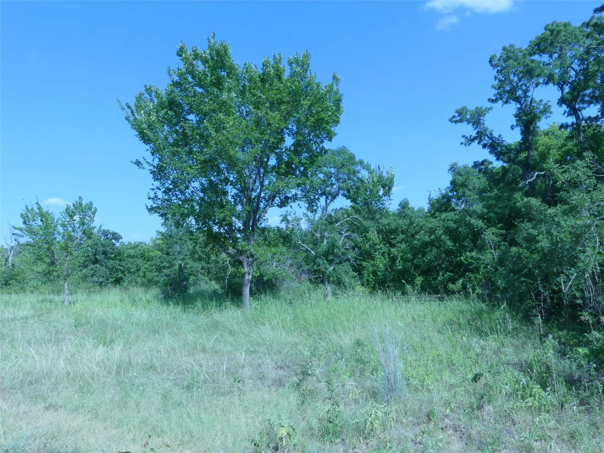 Unimproved Land For Sale in Montague County , 1691 W Alamo Road, Bowie, Texas 76230, 0, 0, Garage spaces, 0 Sqft, built in 0, mls#21332827, Real Estate Agent in Bowie, Homes For Sale in Montague county, Homes For Sale in Bowie, Realtor in Bowie Texas, Real Estate Brokerage Independent Realty Texas, Luminita Cordes Realtor