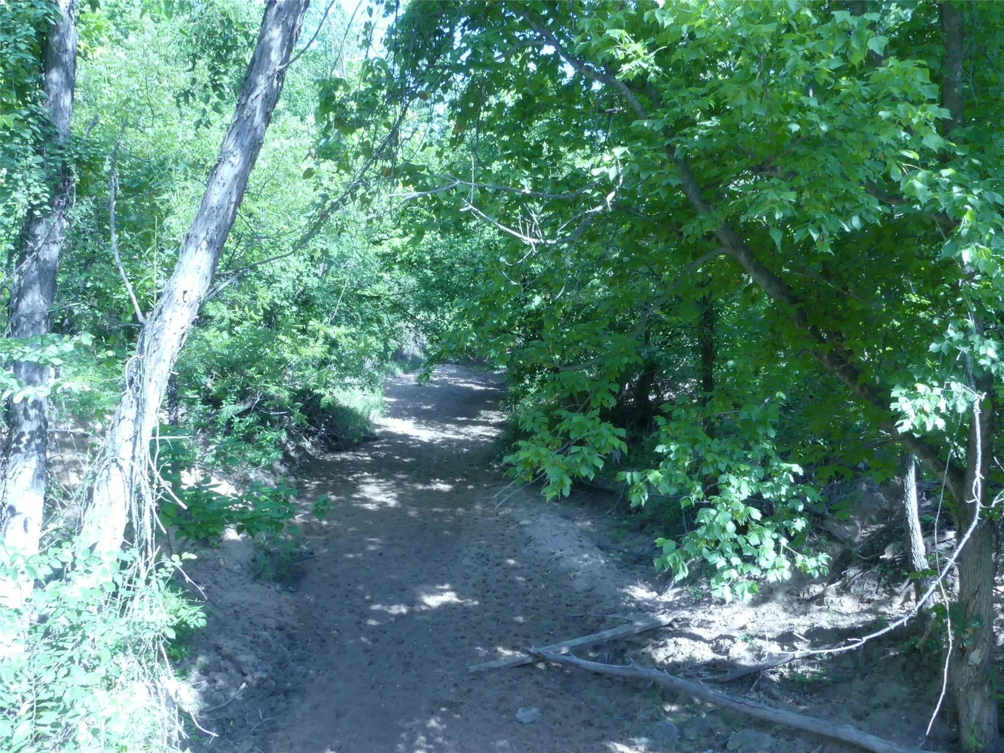 Unimproved Land For Sale in Montague County , 1691 W Alamo Road, Bowie, Texas 76230, 0, 0, Garage spaces, 0 Sqft, built in 0, mls#21332827, Real Estate Agent in Bowie, Homes For Sale in Montague county, Homes For Sale in Bowie, Realtor in Bowie Texas, Real Estate Brokerage Independent Realty Texas, Luminita Cordes Realtor