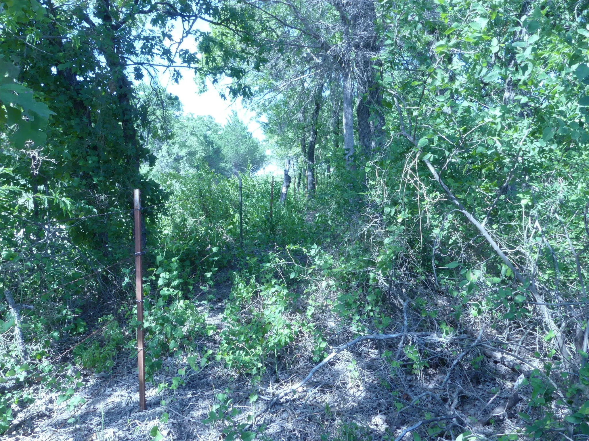 Unimproved Land For Sale in Montague County , 1691 W Alamo Road, Bowie, Texas 76230, 0, 0, Garage spaces, 0 Sqft, built in 0, mls#21332827, Real Estate Agent in Bowie, Homes For Sale in Montague county, Homes For Sale in Bowie, Realtor in Bowie Texas, Real Estate Brokerage Independent Realty Texas, Luminita Cordes Realtor
