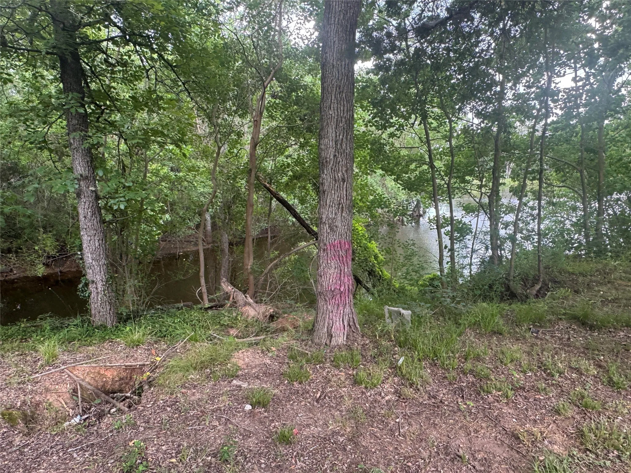 view of pond on side of house