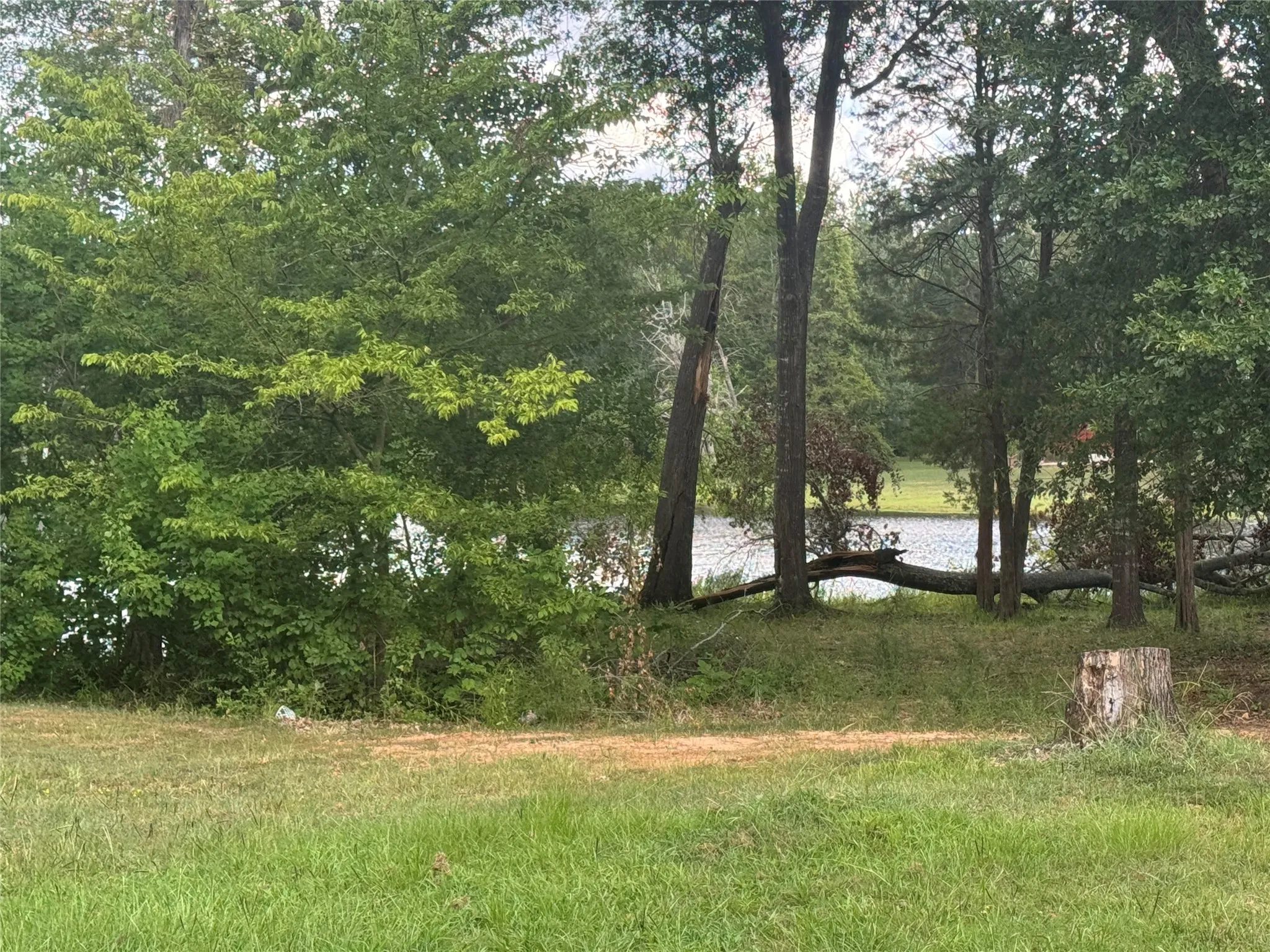 view of pond behind house