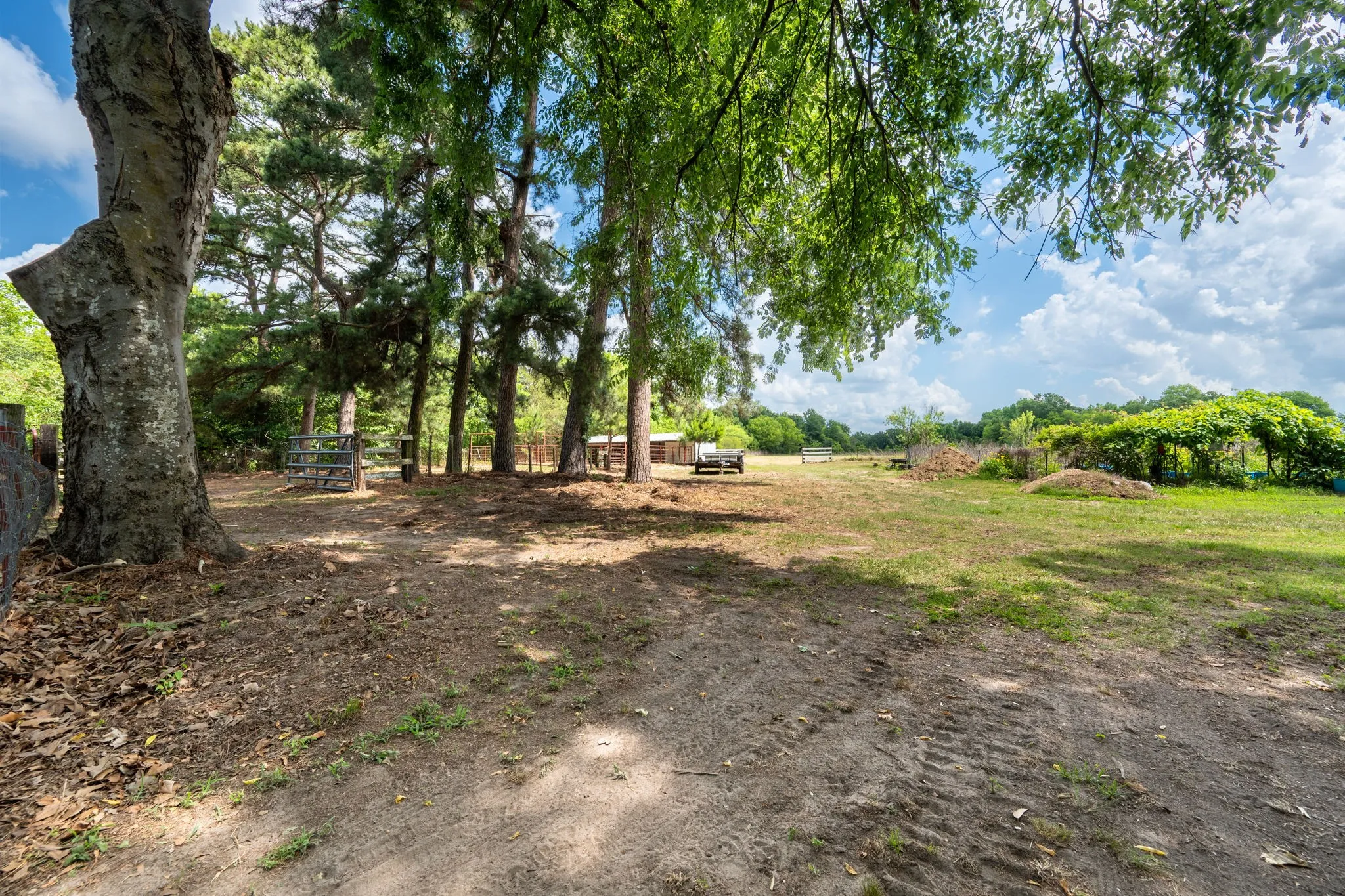 Farm For Sale in Van Zandt County , 2715 FM 857, Grand Saline, Texas 75140, 3 Bedroom, 2 Bathroom, 2 Garage spaces, 1,751 Sqft, built in 1968, mls#21324586, Real Estate Agent in Grand Saline, Homes For Sale in Van Zandt county, Homes For Sale in Grand Saline, Realtor in Grand Saline Texas, Real Estate Brokerage Independent Realty Texas, Luminita Cordes Realtor