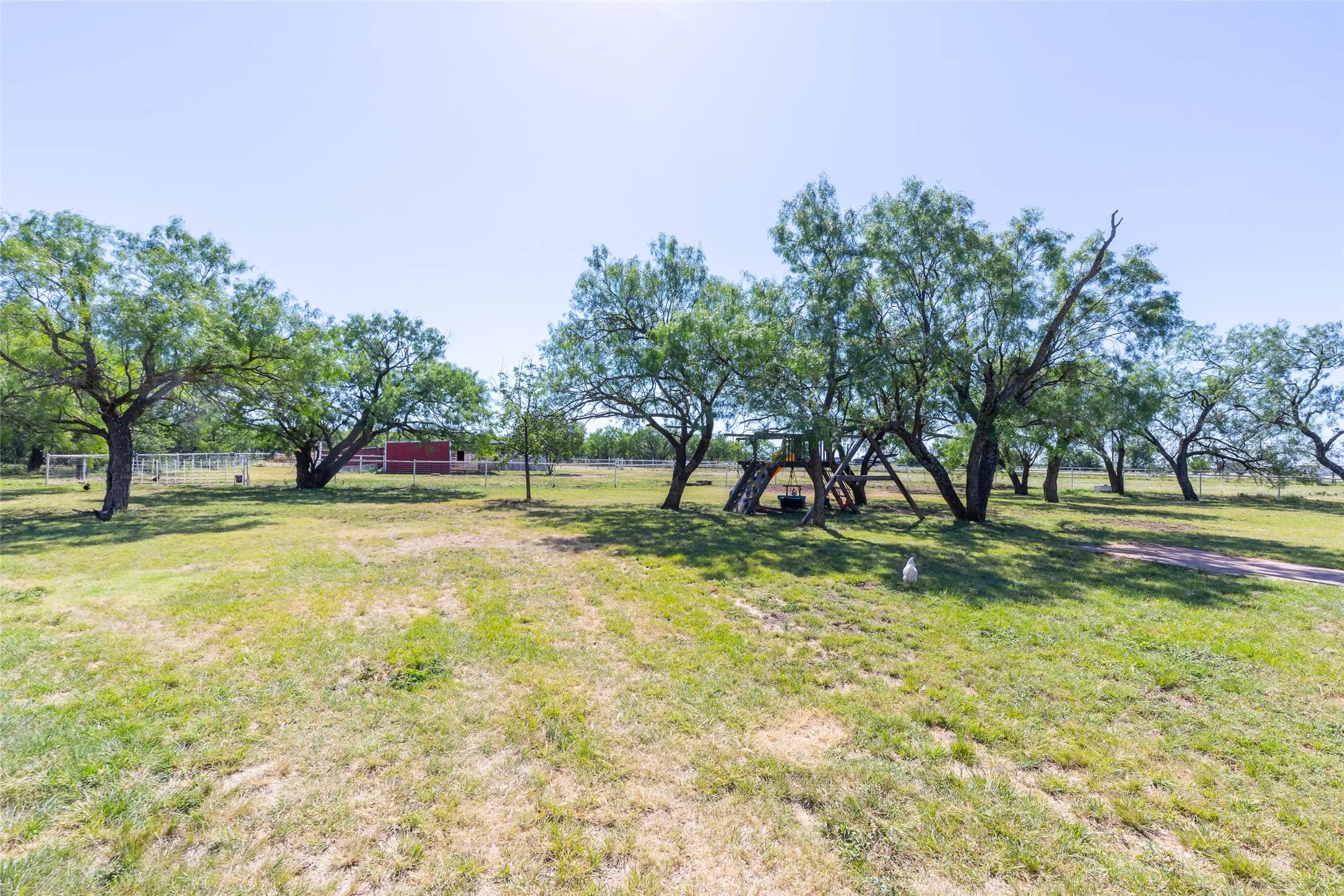 Expansive grassy outdoor space with mature trees providing natural shade